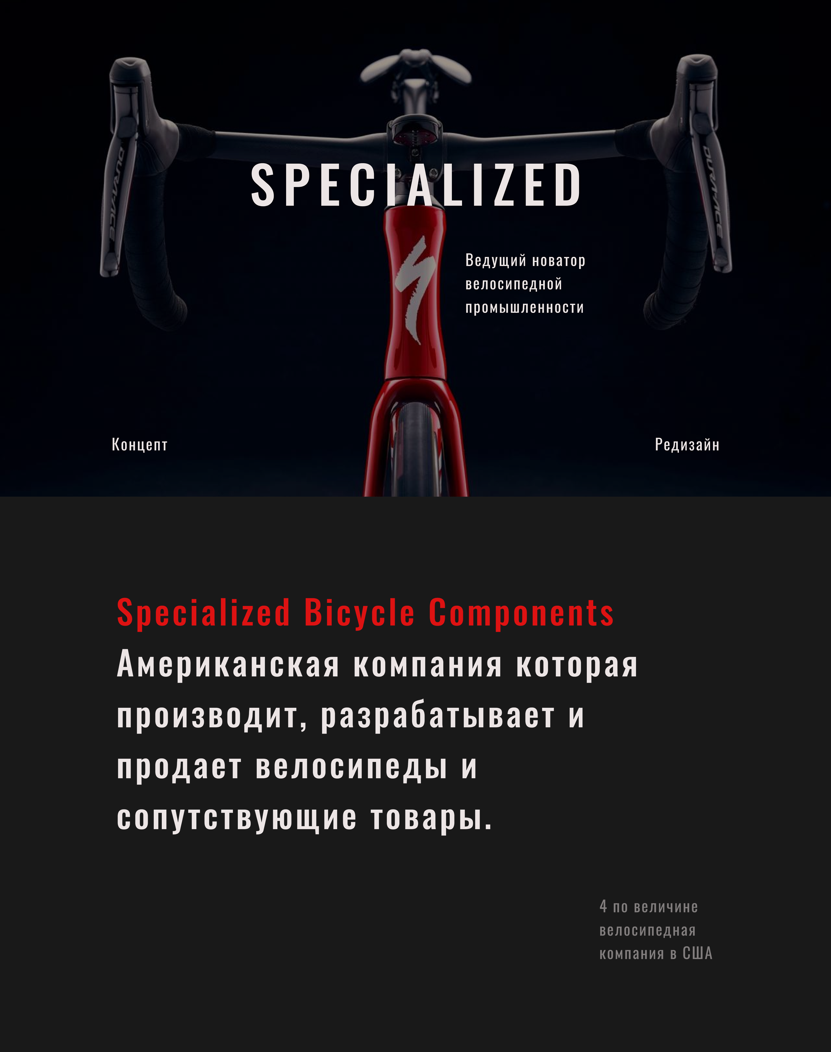 E-commerce Specialized — Изображение №1 — Интерфейсы, Брендинг, Графика на Dprofile