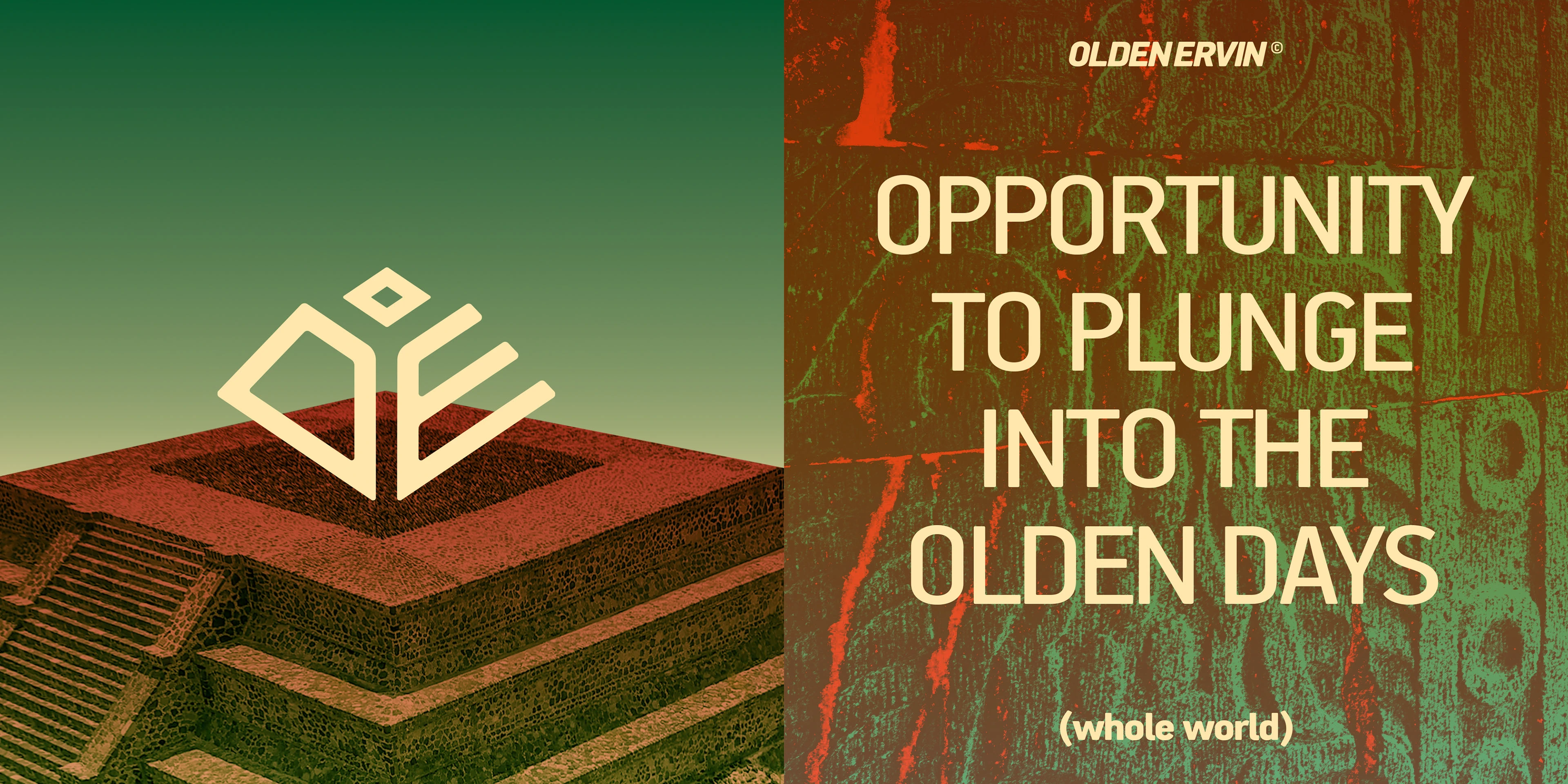 OldenErvin — Изображение №3 — Брендинг на Dprofile
