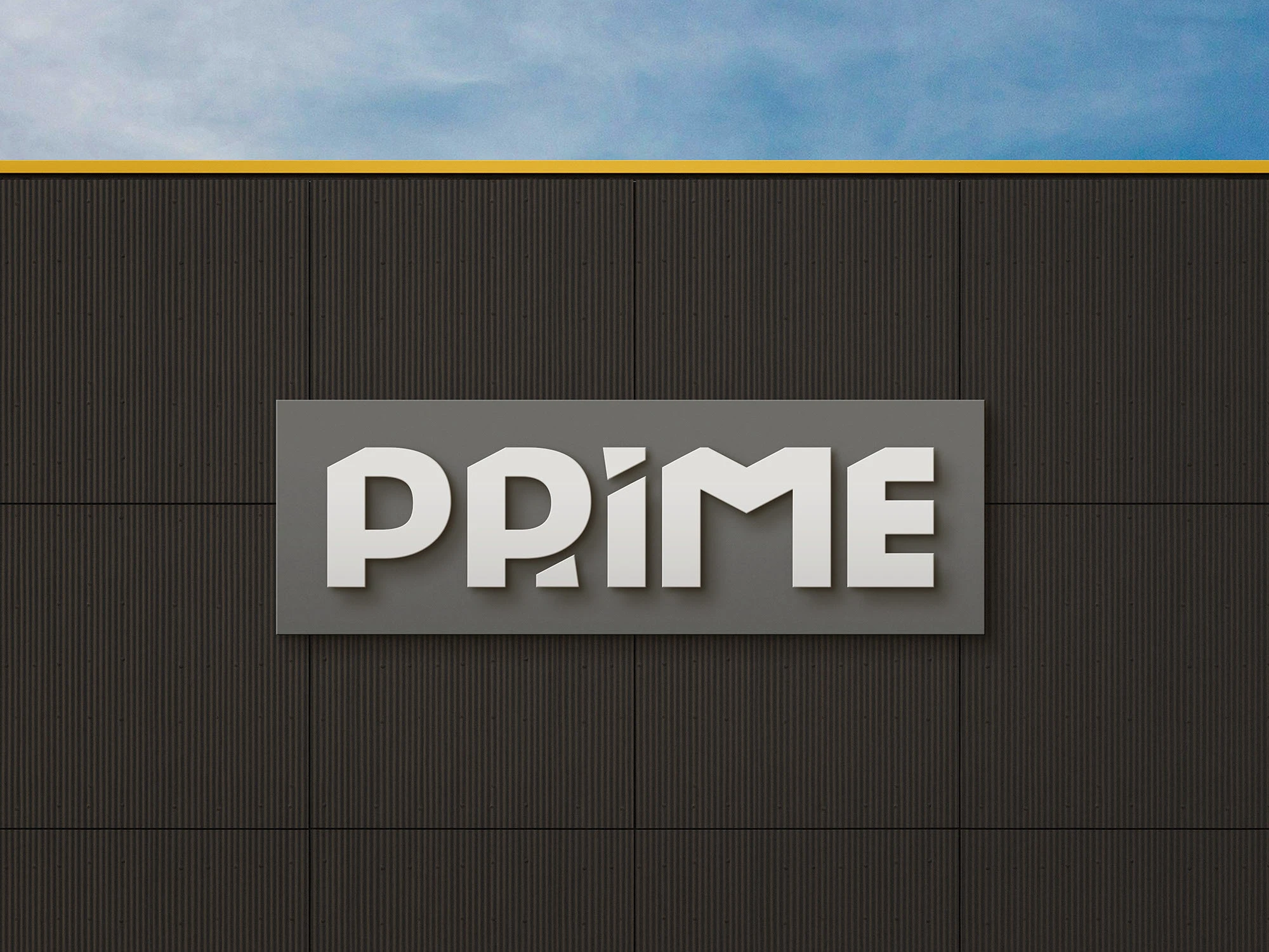 PRIME [static sensitive] — Изображение №1 — Брендинг на Dprofile