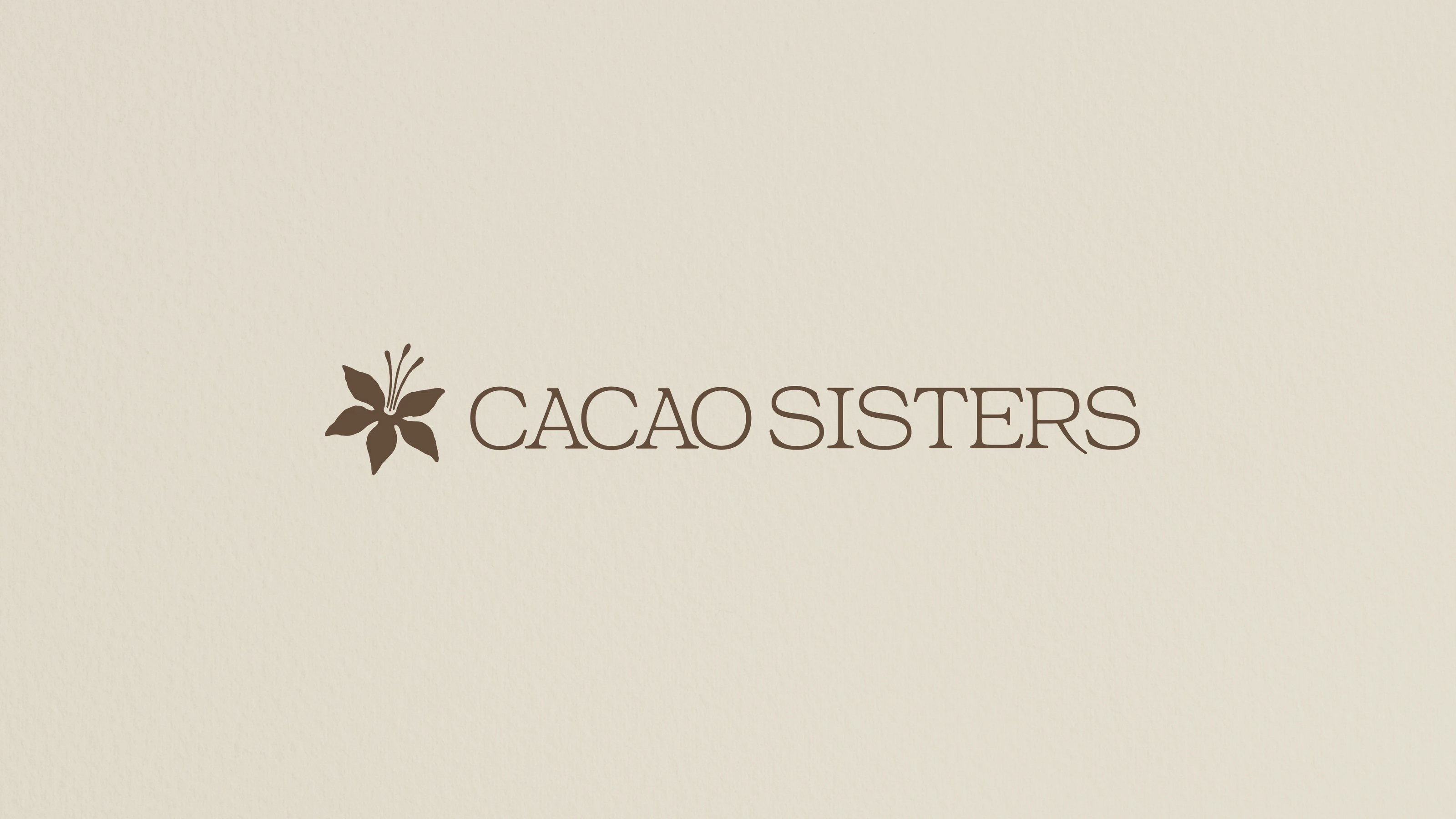 Логотип | Фирменный стиль для Cacao sisters — Изображение №2 — Брендинг на Dprofile