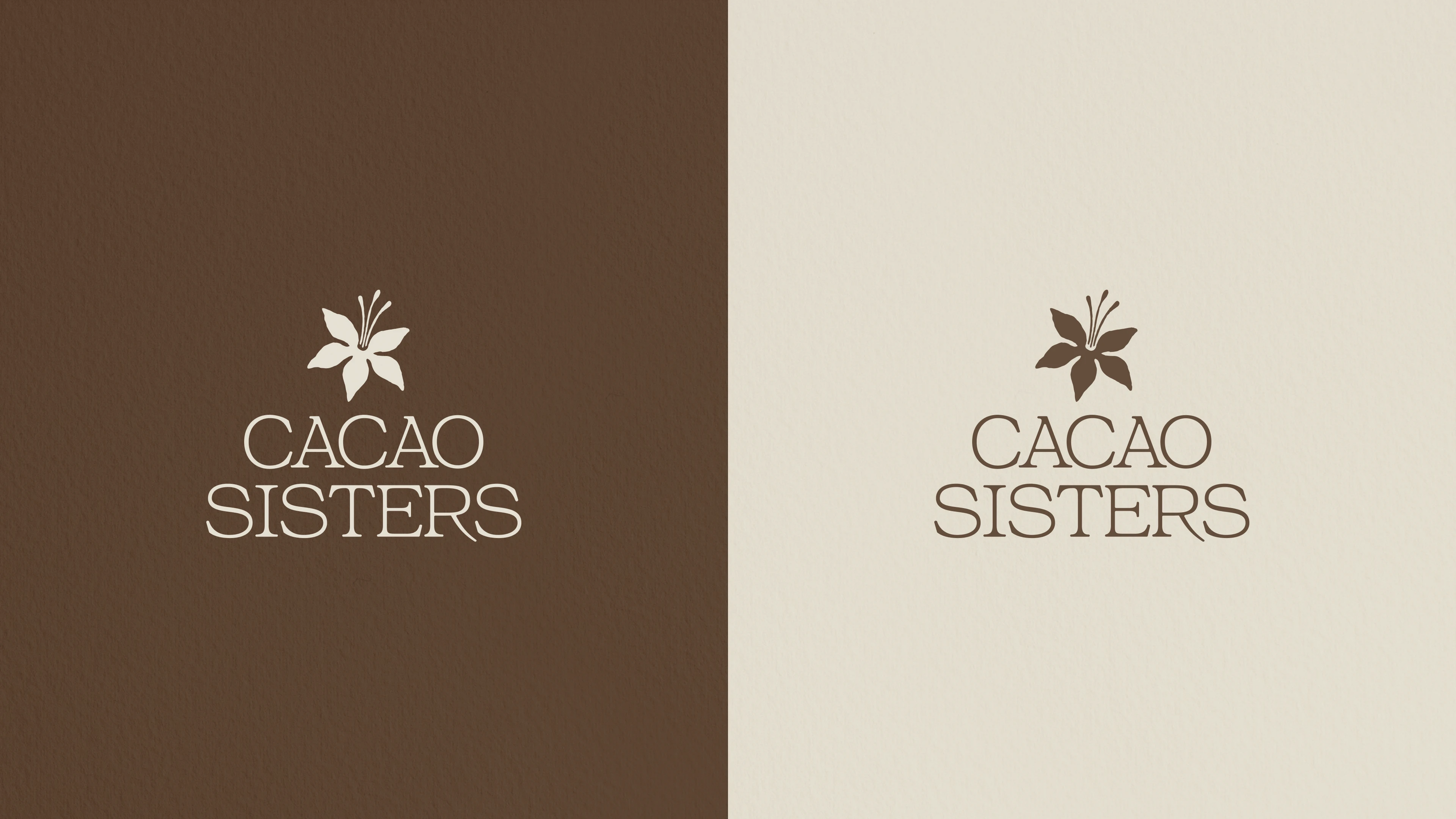 Логотип | Фирменный стиль для Cacao sisters — Изображение №4 — Брендинг на Dprofile