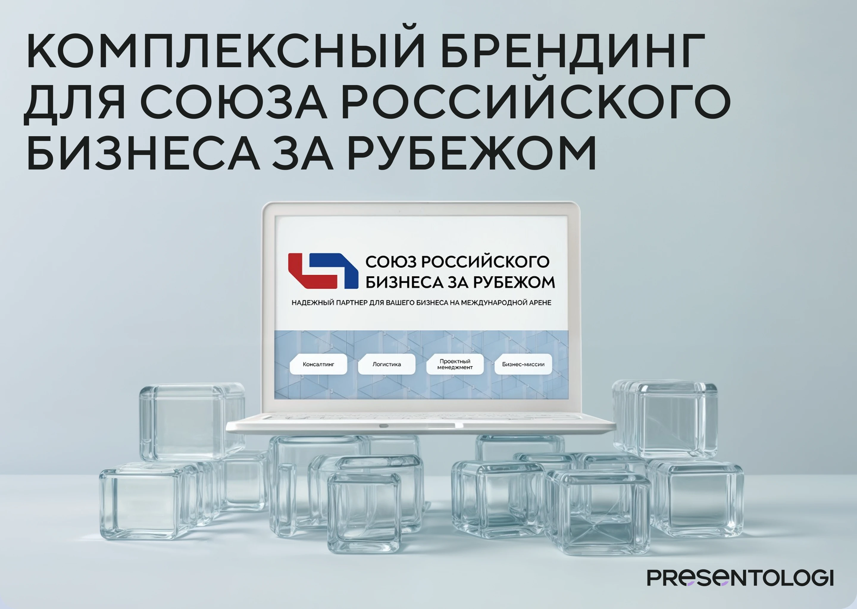 Комплексный брендинг и сайт — Изображение №1 — Интерфейсы, Брендинг на Dprofile