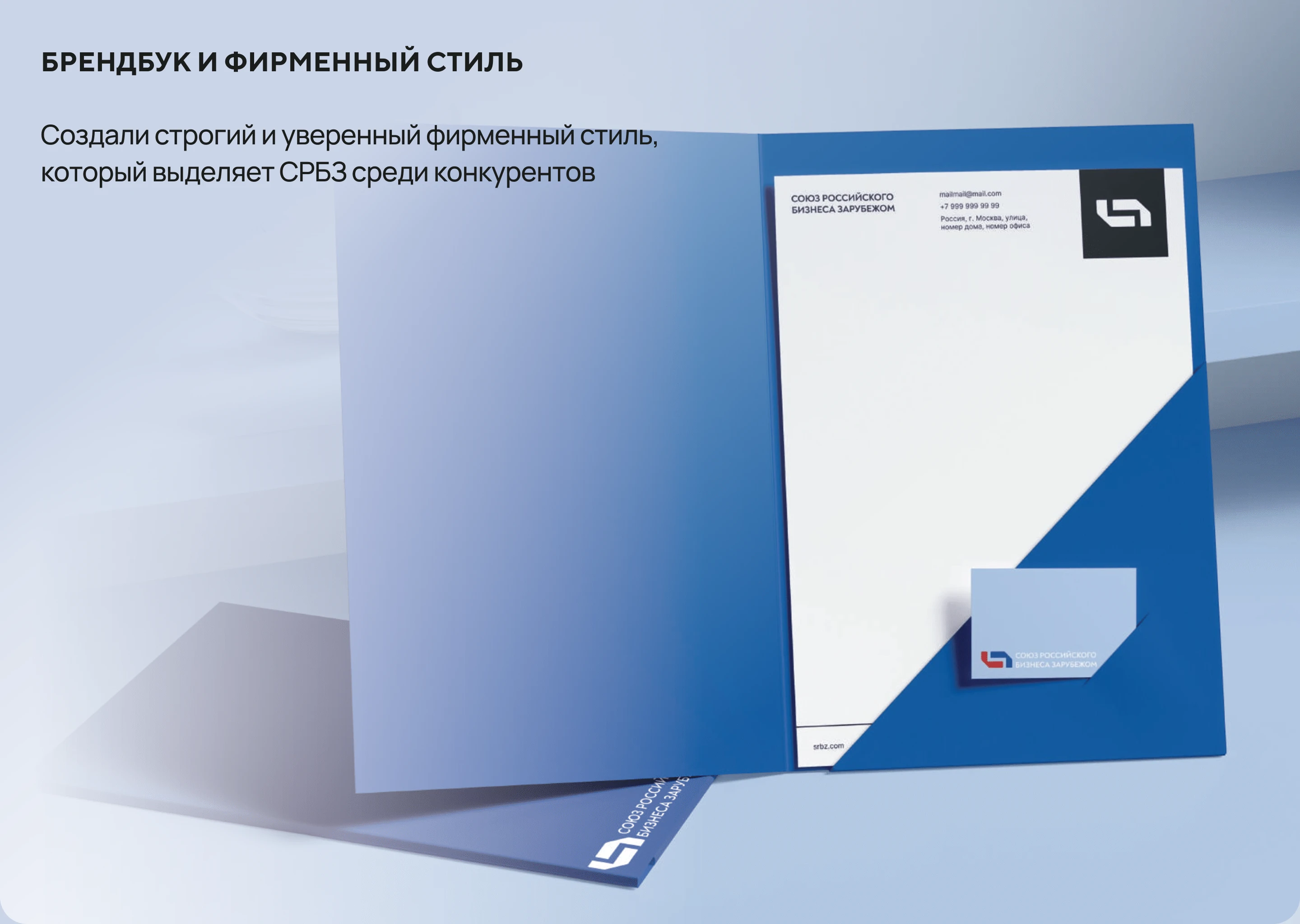 Комплексный брендинг и сайт — Изображение №5 — Интерфейсы, Брендинг на Dprofile