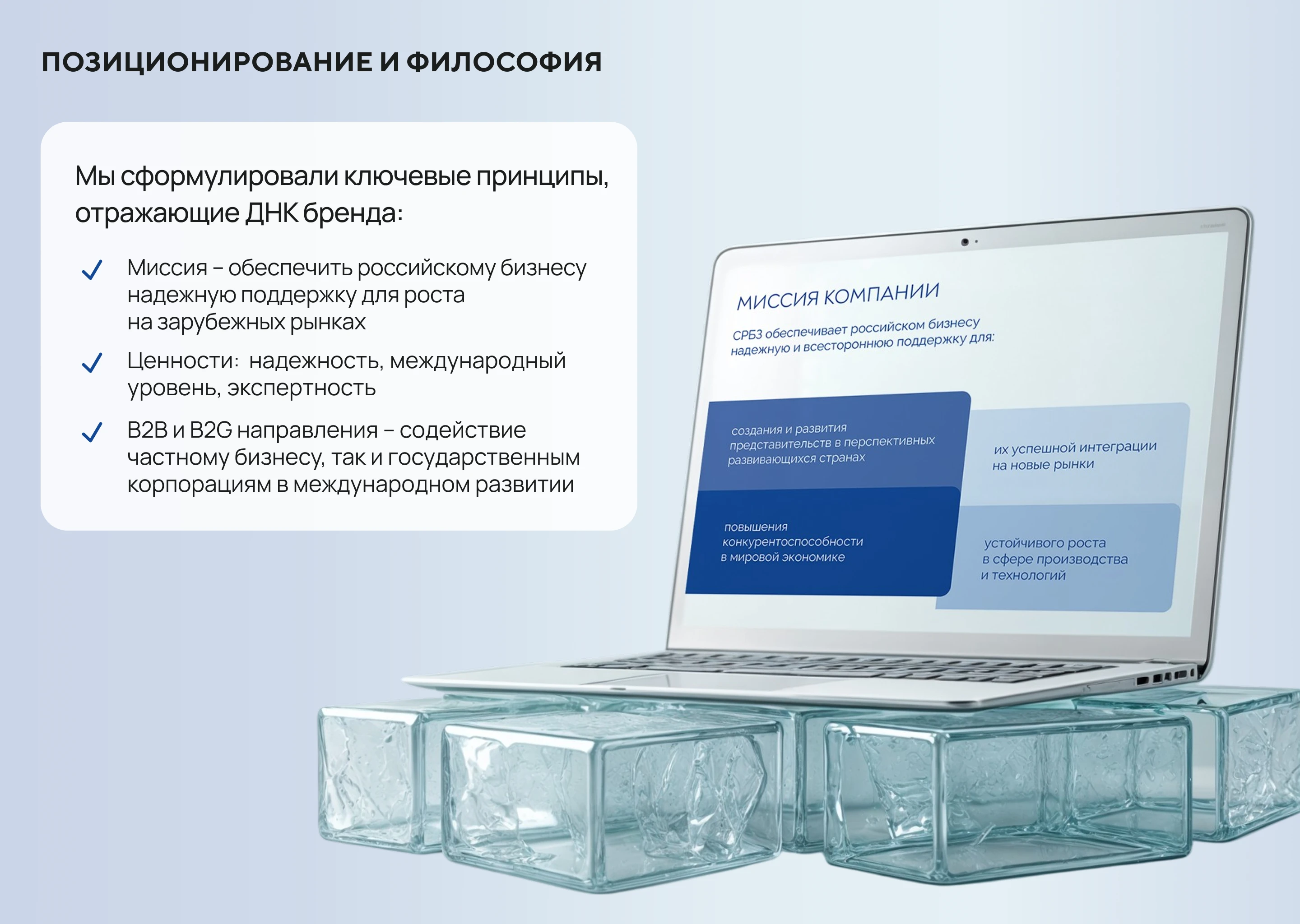 Комплексный брендинг и сайт — Изображение №3 — Интерфейсы, Брендинг на Dprofile