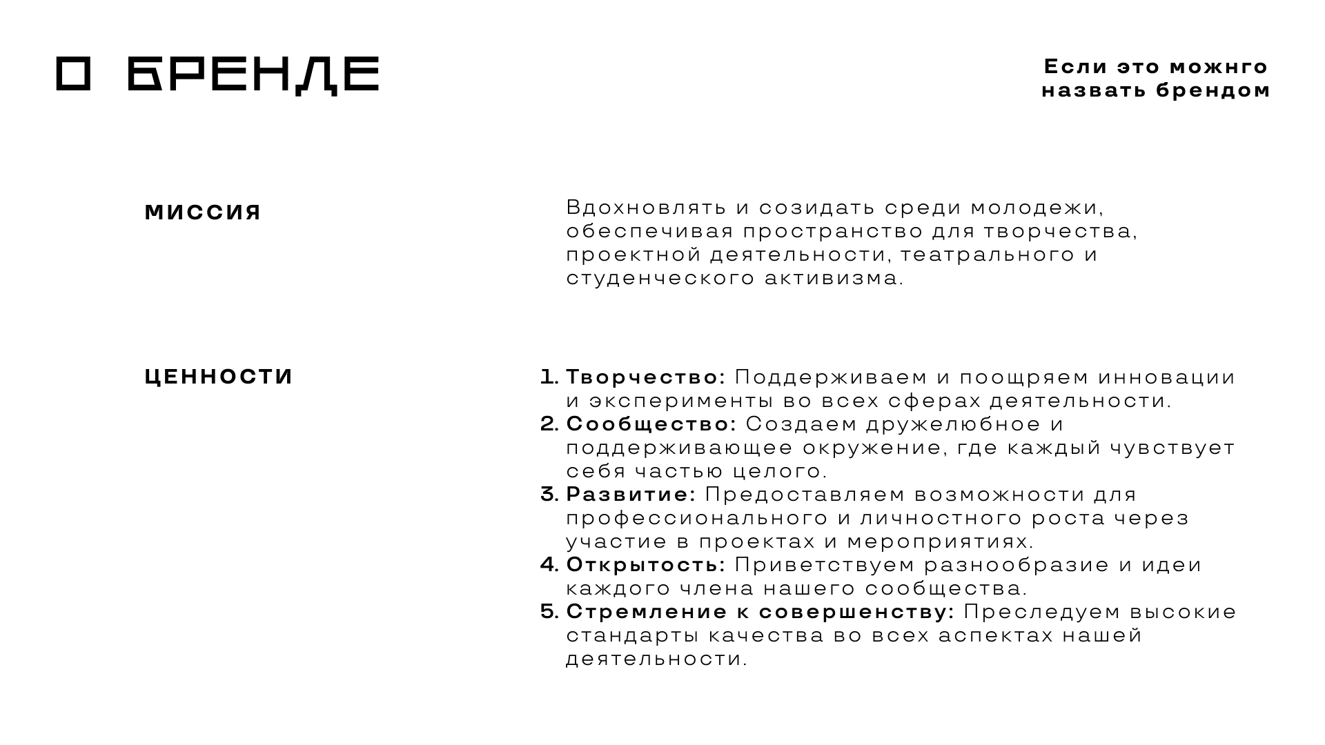 Брендбук Центра Молодежных Инициатив — Изображение №2 — Брендинг на Dprofile