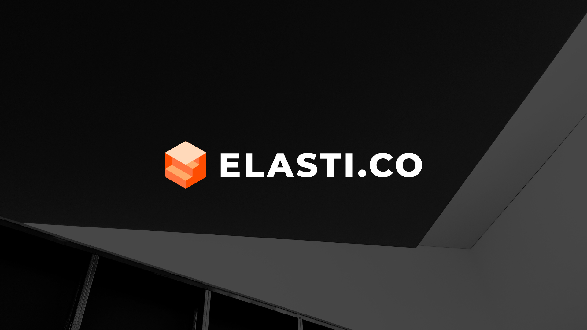 ELASTI.CO — Изображение №1 — Брендинг на Dprofile