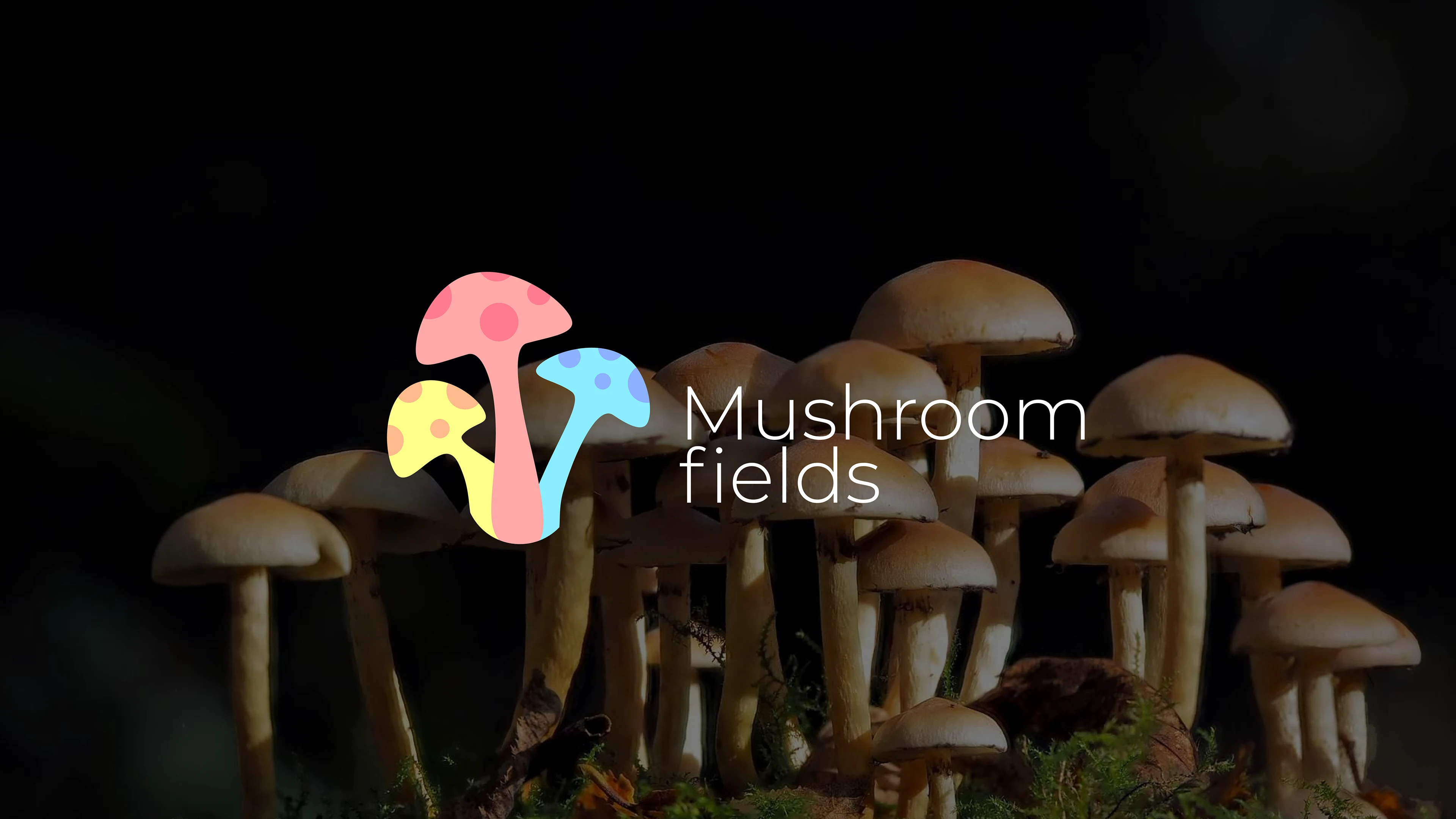 Logo design Mushroom Fields anti-cafe — Изображение №1 — Брендинг на Dprofile