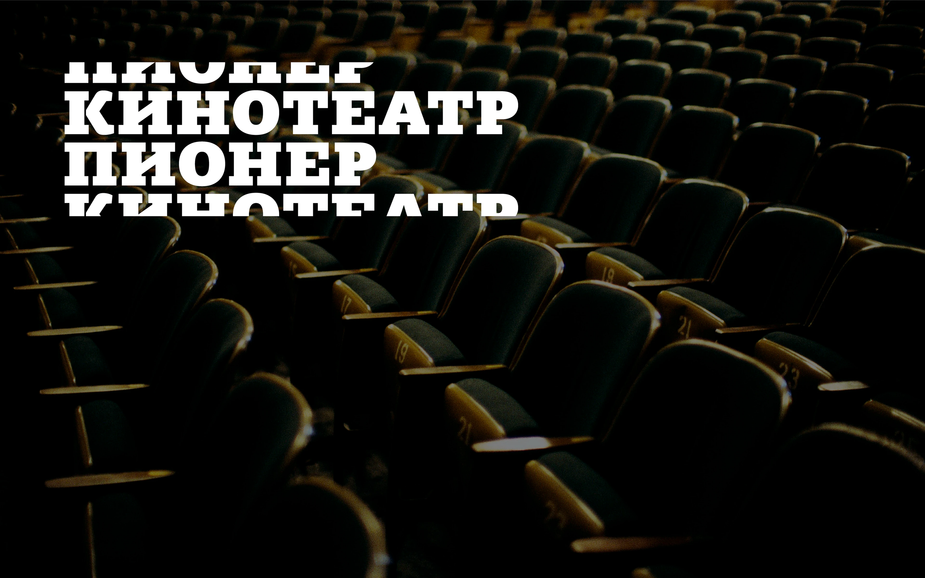 Шрифтовая пара экосистемы бренда «Пионер» — Изображение №1 — Брендинг, Графика на Dprofile