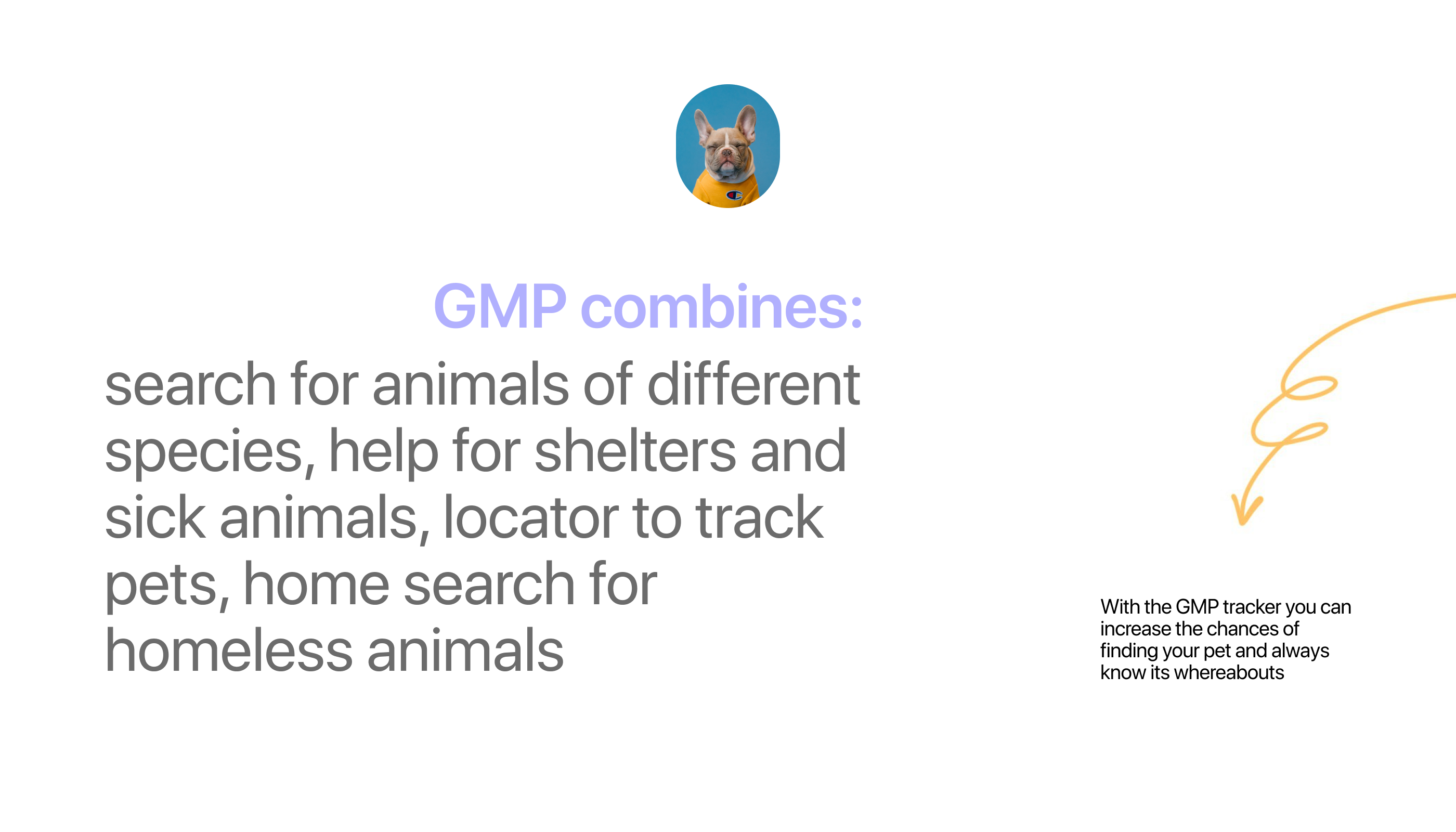 GMP|Мобильное приложение по поиску домашних животных — Изображение №2 — Интерфейсы на Dprofile