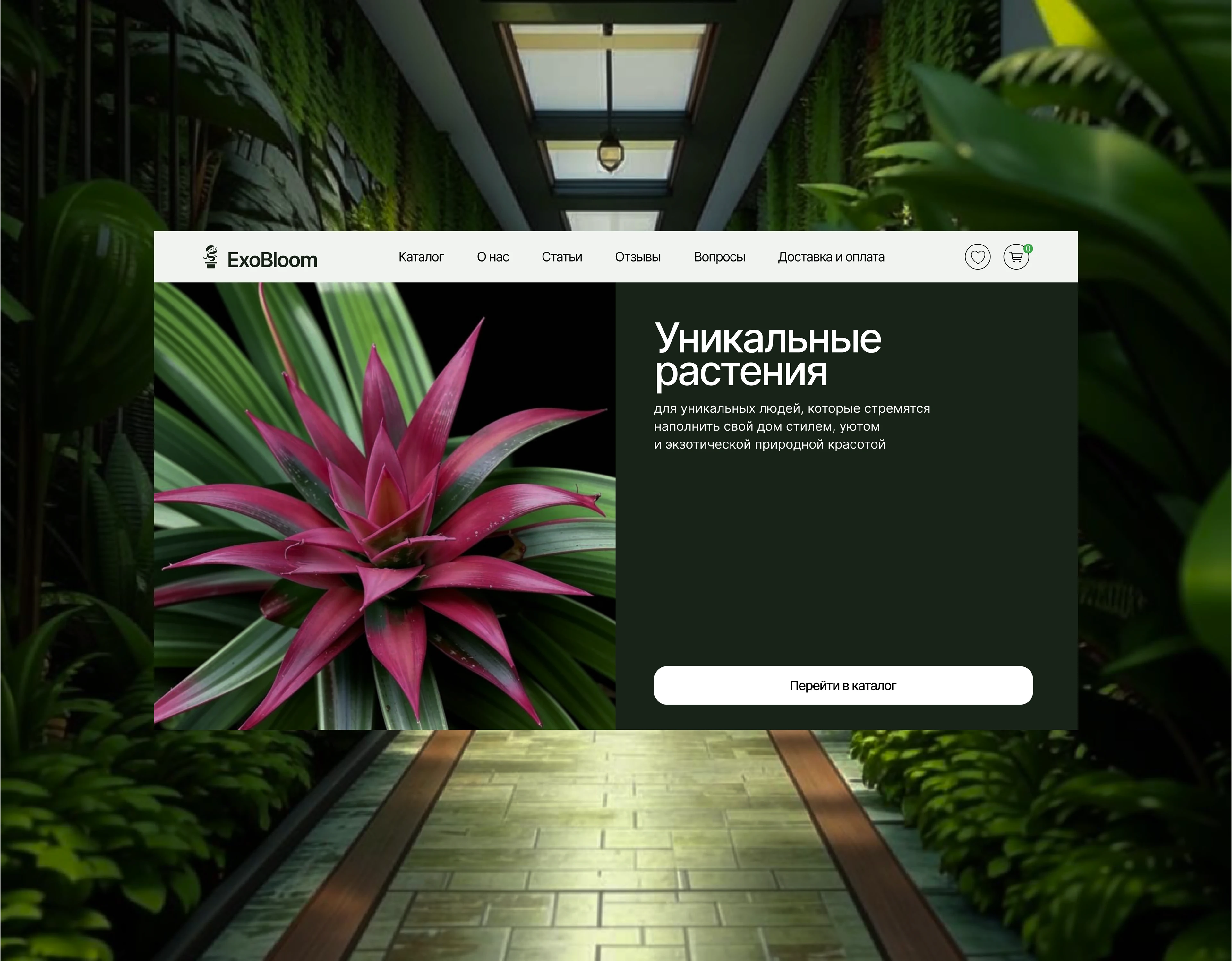 Разработка интернет-магазина экзотических растений — Изображение №1 — Интерфейсы на Dprofile