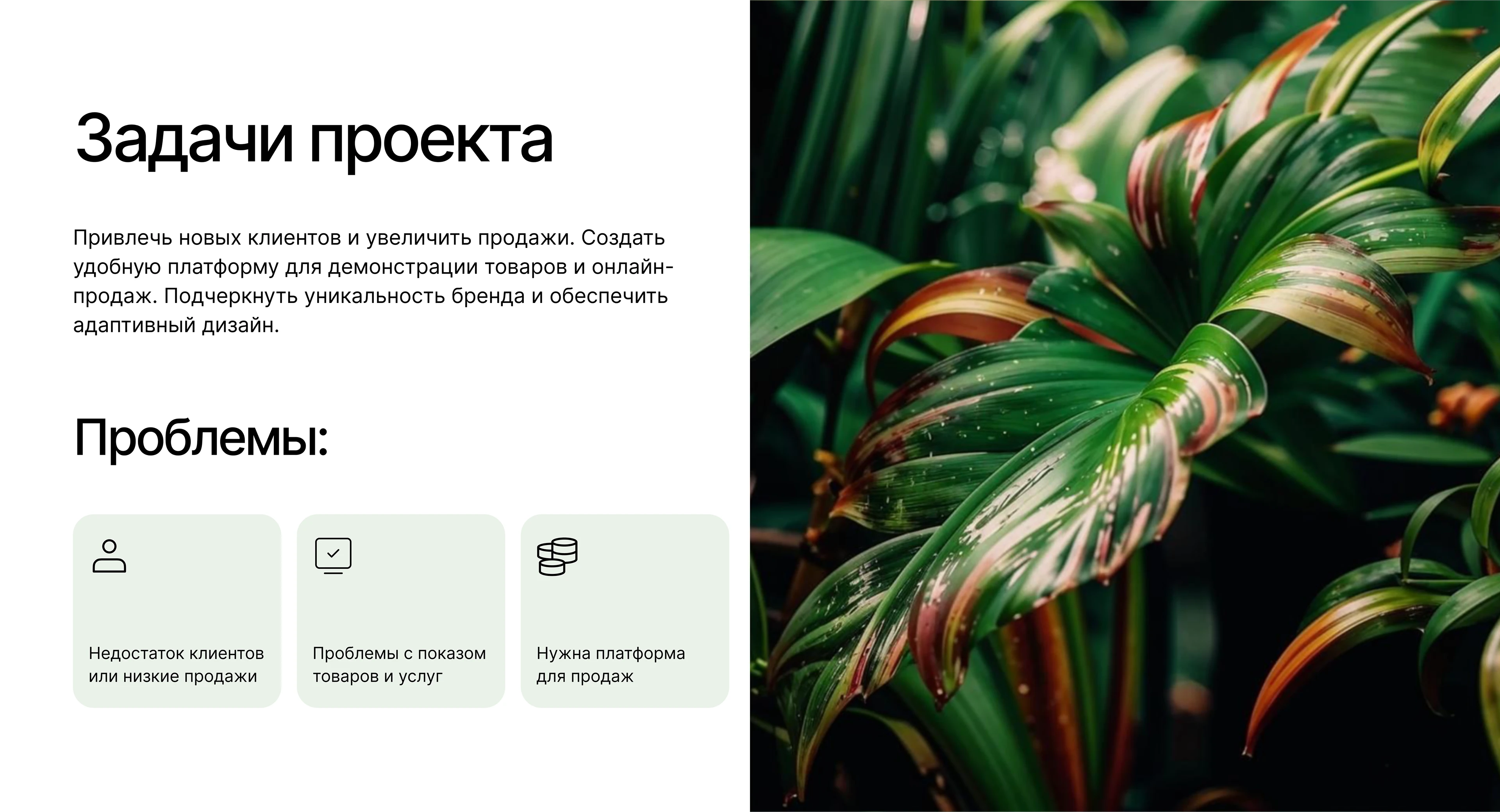 Разработка интернет-магазина экзотических растений — Изображение №2 — Интерфейсы на Dprofile