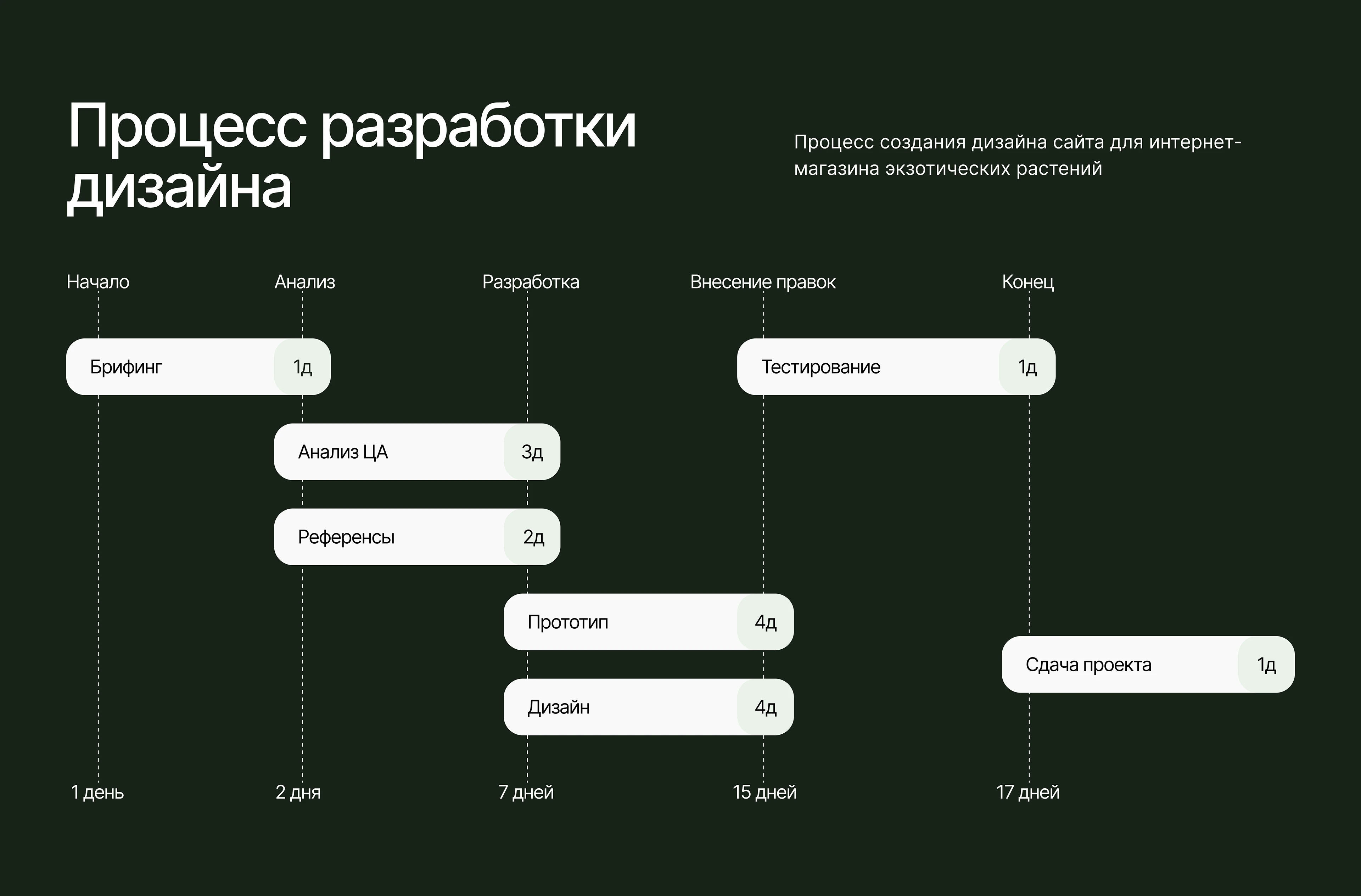 Разработка интернет-магазина экзотических растений — Изображение №4 — Интерфейсы на Dprofile