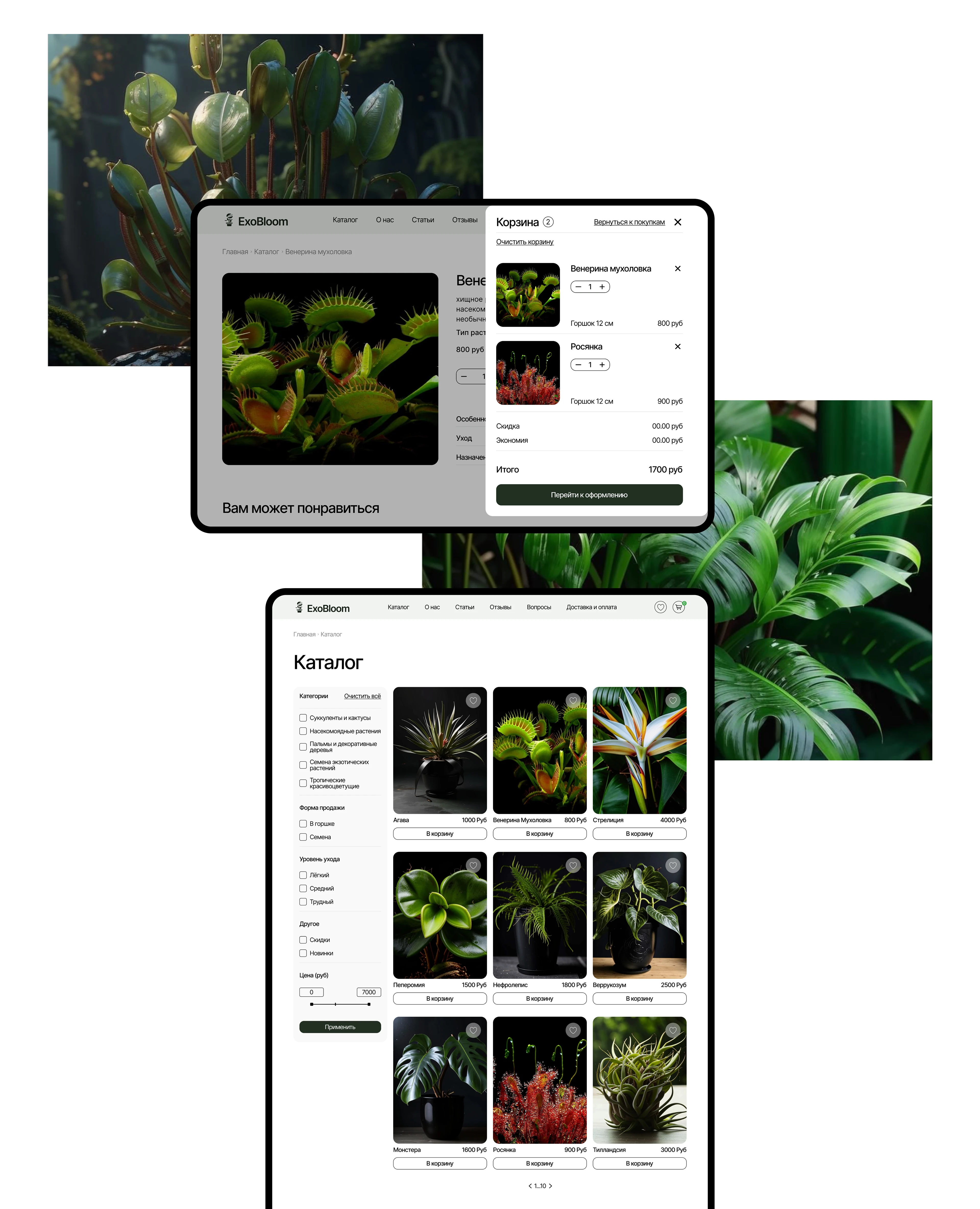 Разработка интернет-магазина экзотических растений — Изображение №5 — Интерфейсы на Dprofile