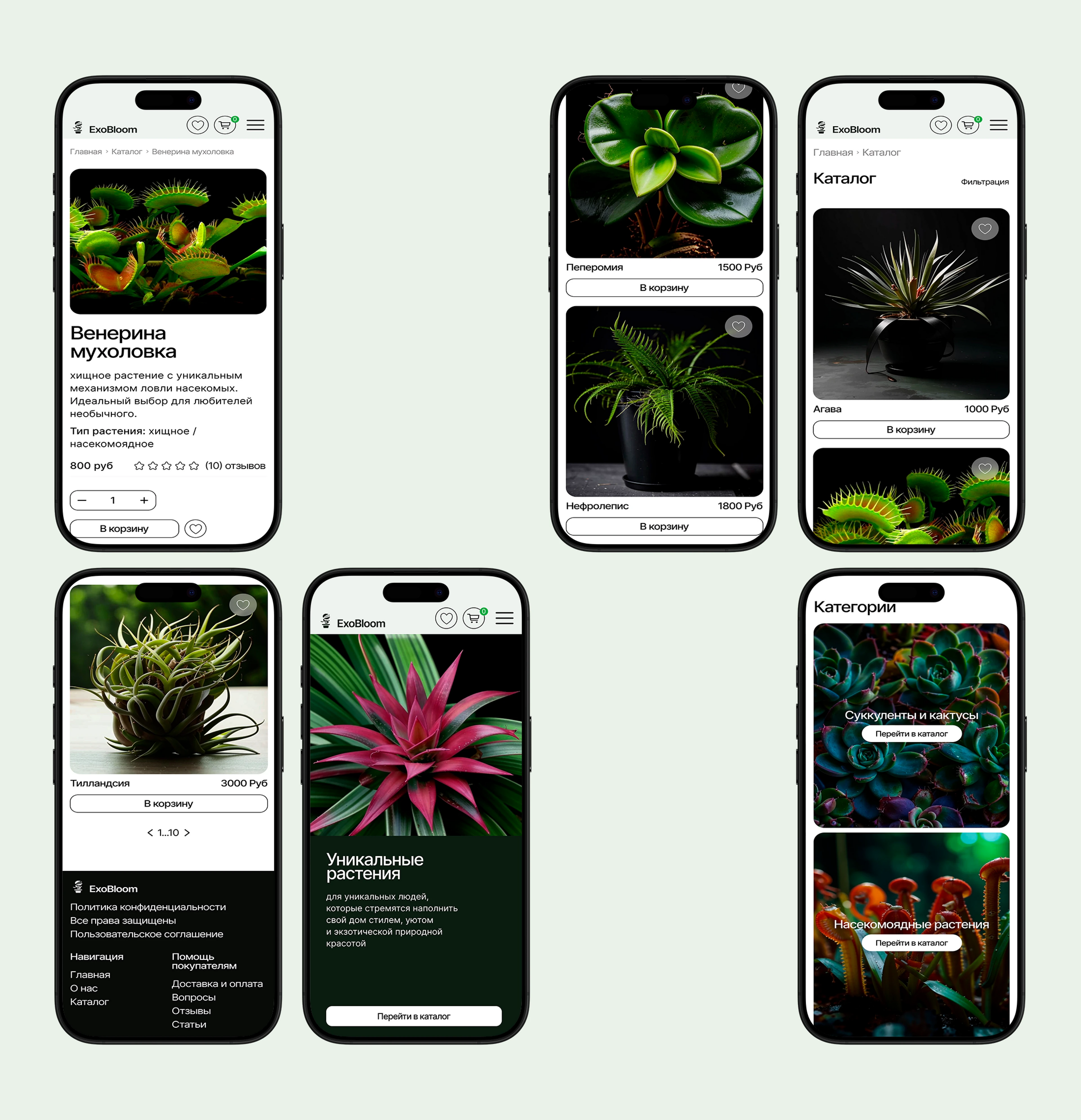 Разработка интернет-магазина экзотических растений — Изображение №10 — Интерфейсы на Dprofile