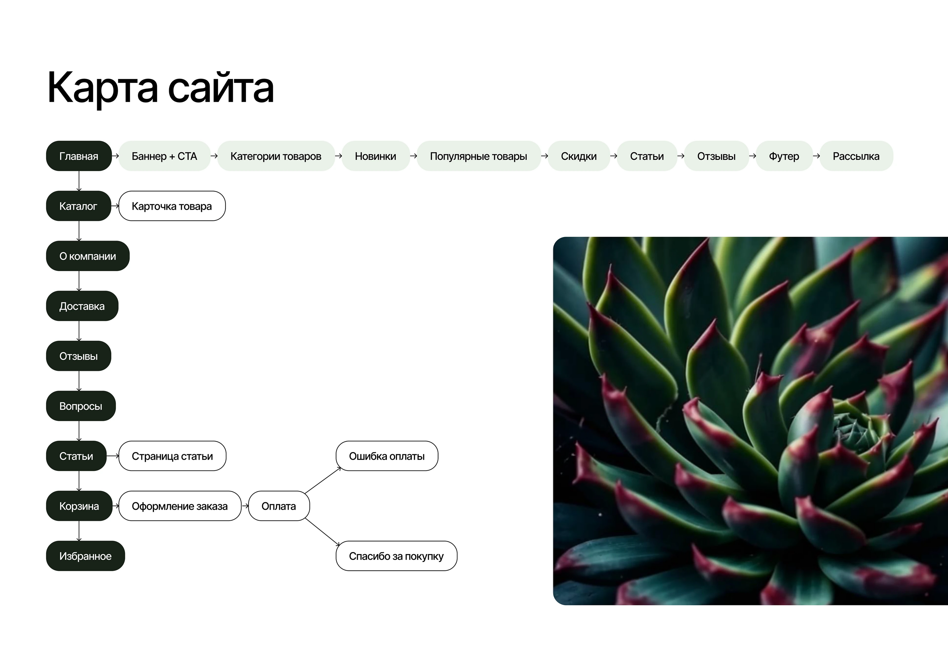 Разработка интернет-магазина экзотических растений — Изображение №7 — Интерфейсы на Dprofile