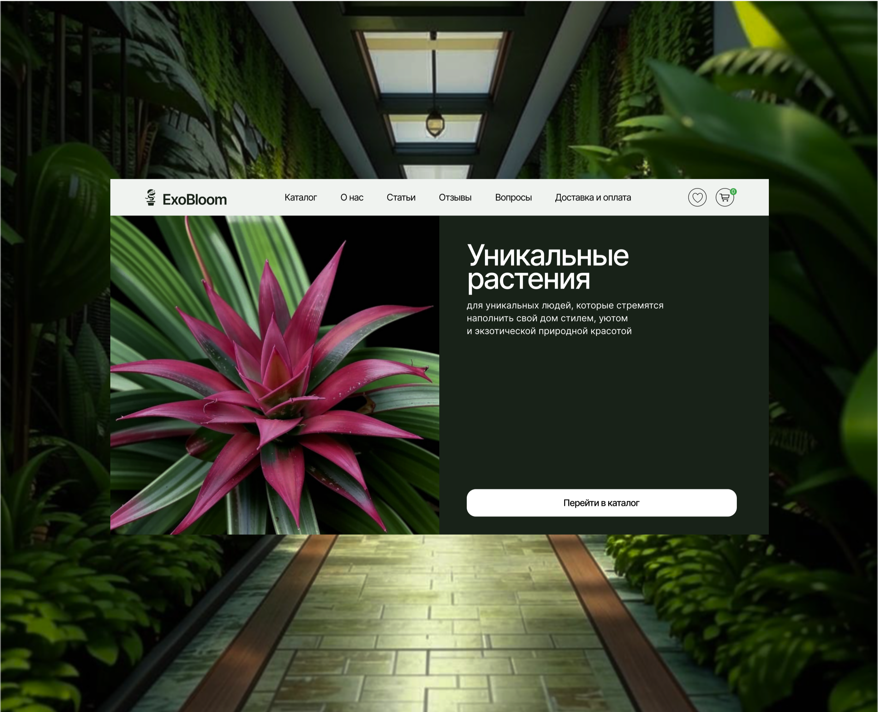 Разработка интернет-магазина экзотических растений — Интерфейсы на Dprofile
