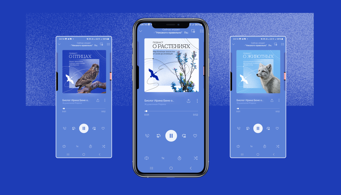 Айдентика для заказника "Журавлиная Родина" — Изображение №29 — Брендинг, Анимация на Dprofile