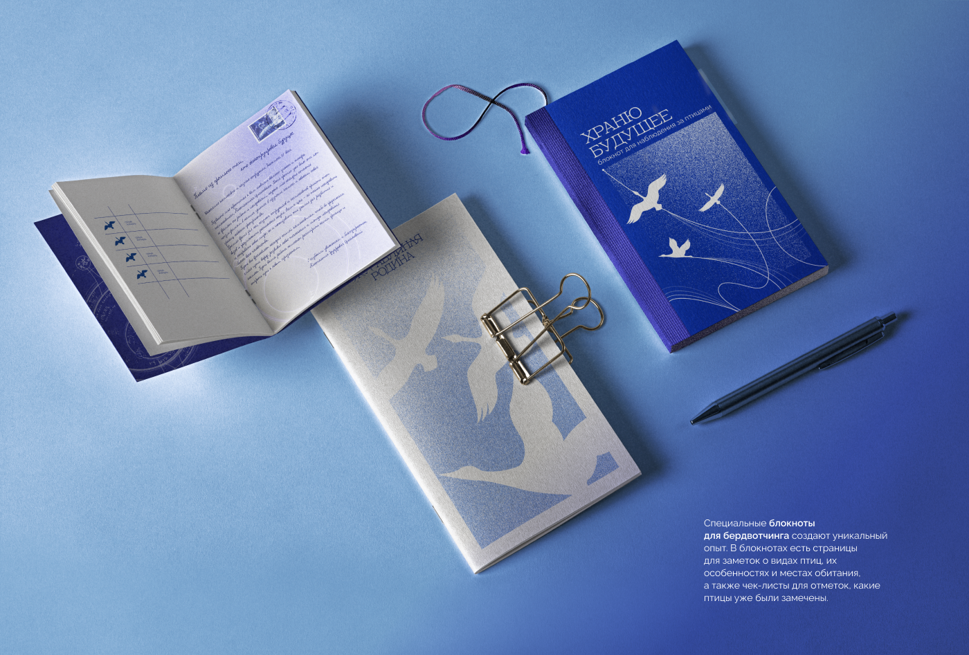 Айдентика для заказника "Журавлиная Родина" — Изображение №21 — Брендинг, Анимация на Dprofile