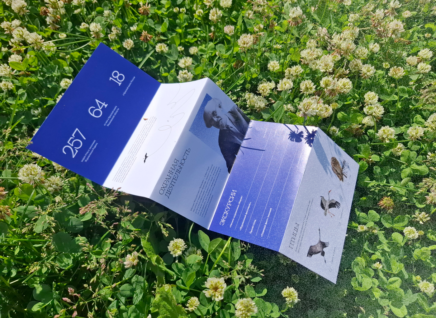 Айдентика для заказника "Журавлиная Родина" — Изображение №22 — Брендинг, Анимация на Dprofile