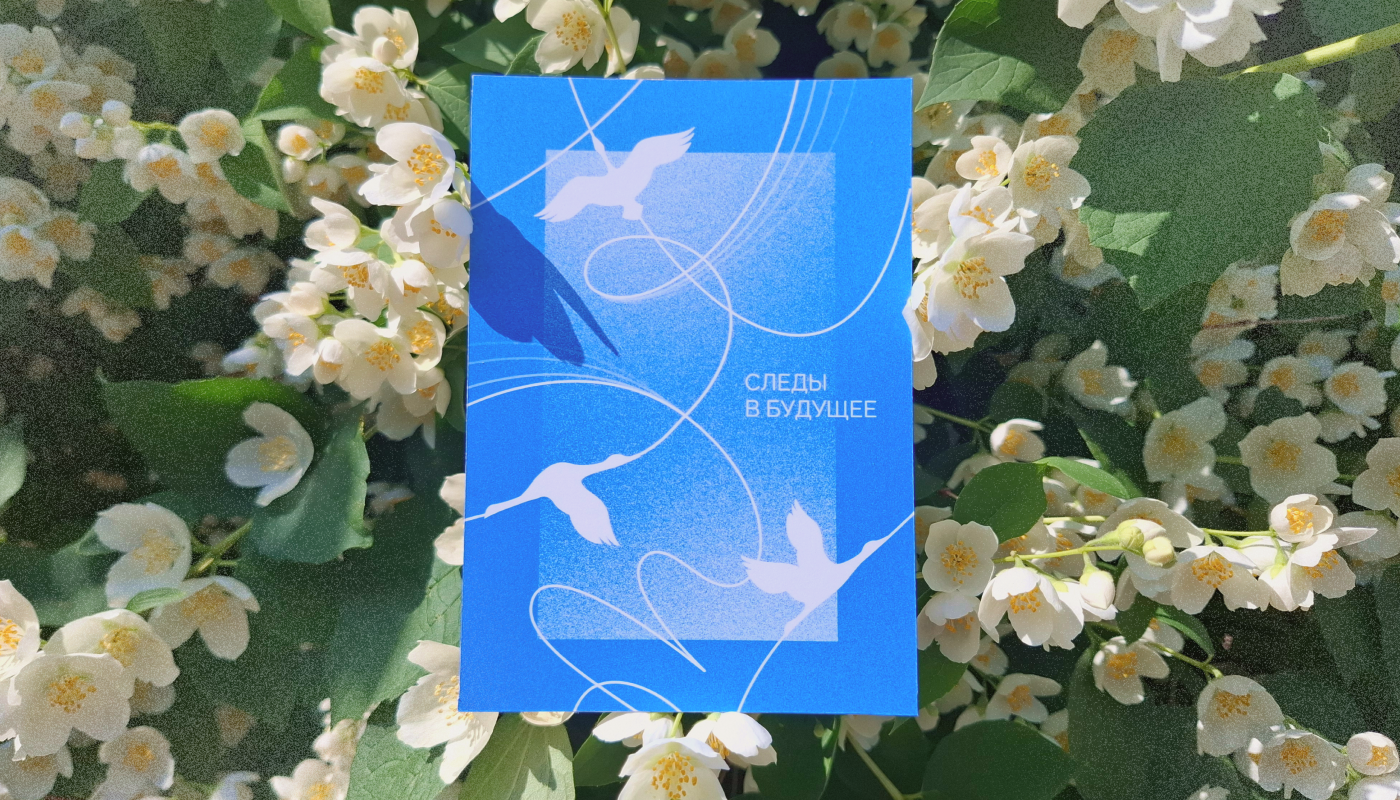 Айдентика для заказника "Журавлиная Родина" — Изображение №8 — Брендинг, Анимация на Dprofile