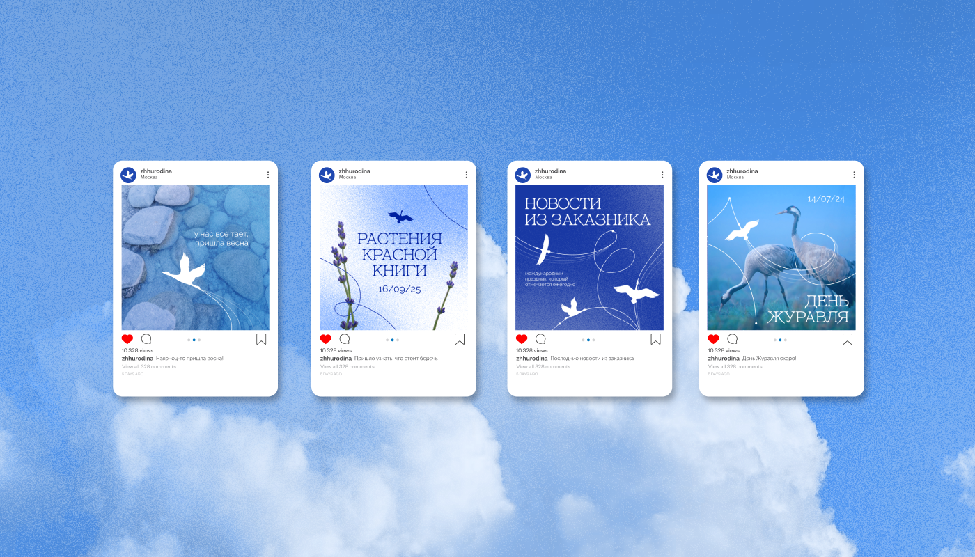 Айдентика для заказника "Журавлиная Родина" — Изображение №26 — Брендинг, Анимация на Dprofile