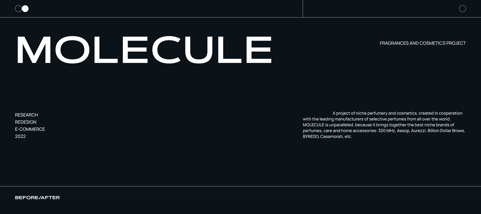 MOLECULE — Изображение №1 — Интерфейсы на Dprofile