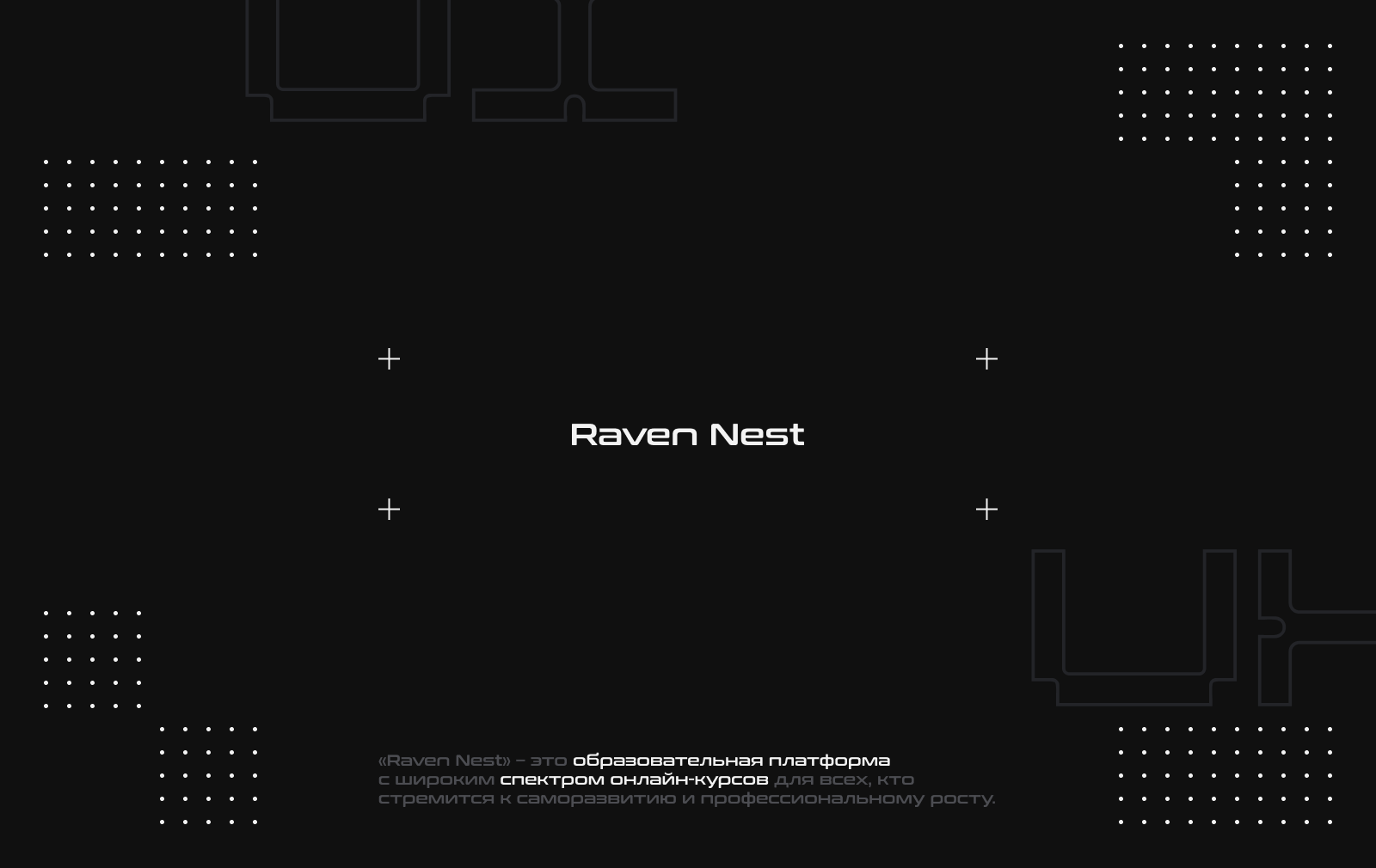 Веб-сайт «Raven Nest» — Изображение №1 — Интерфейсы, Брендинг на Dprofile