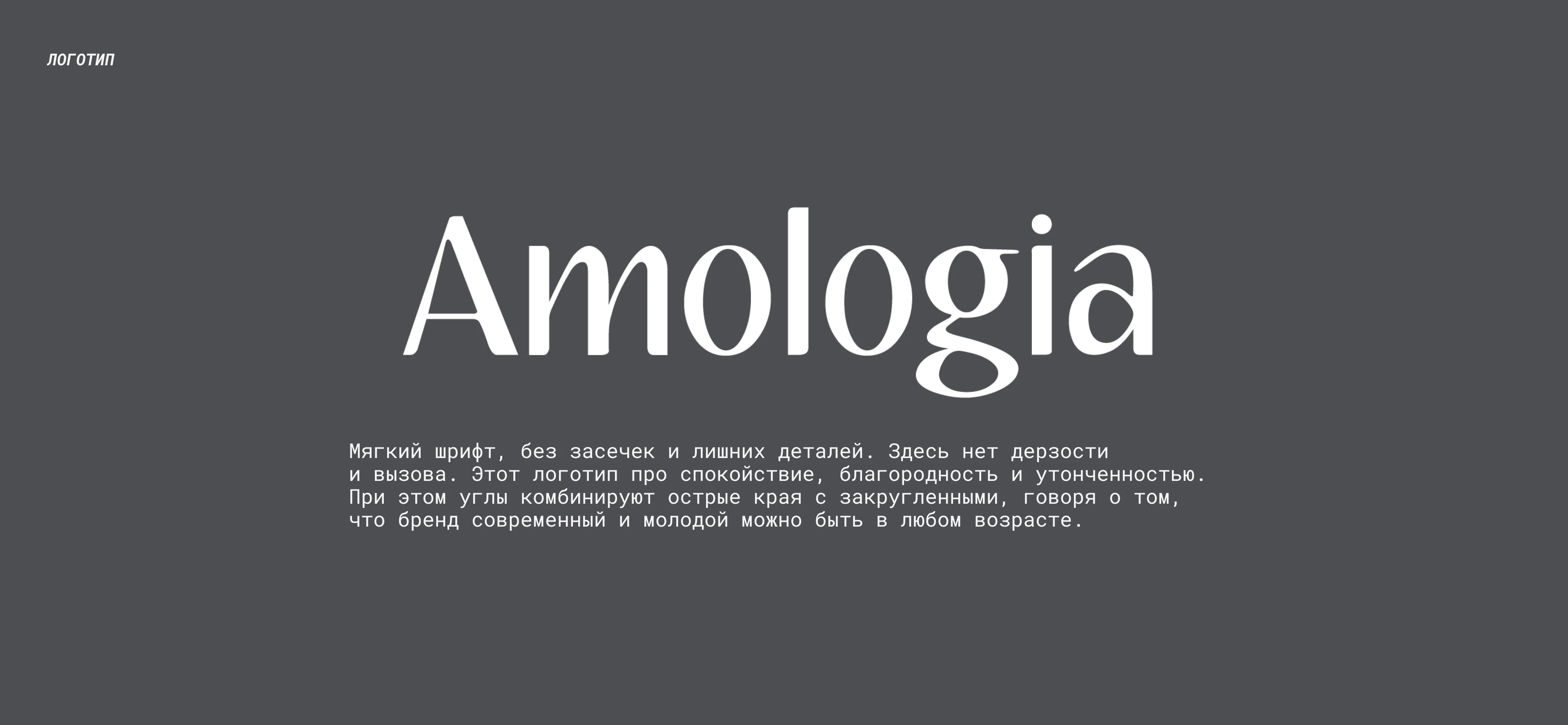 Amologia | Brand Identity & Packaging — Изображение №3 — Брендинг на Dprofile