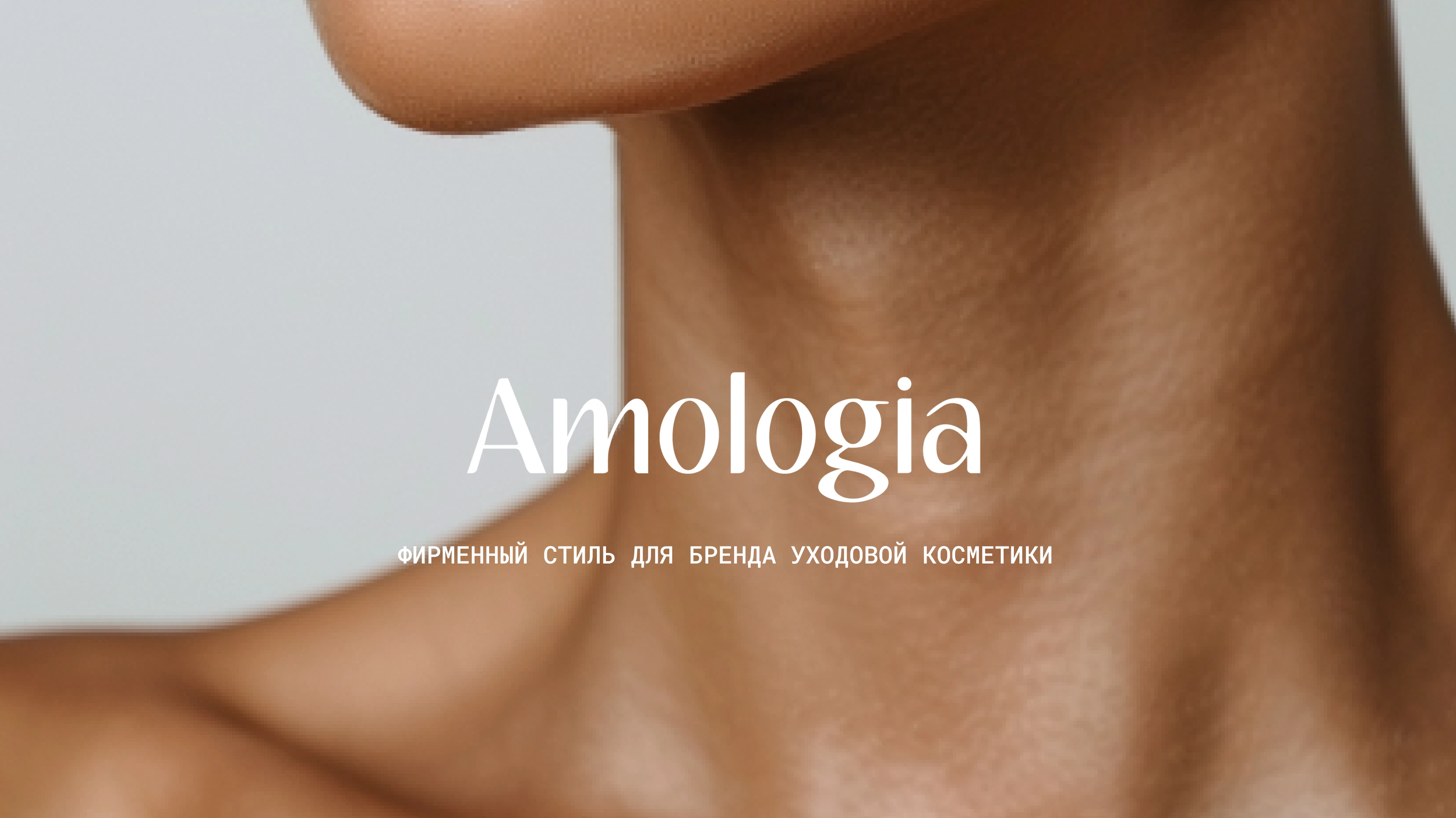 Amologia | Brand Identity & Packaging — Изображение №1 — Брендинг на Dprofile