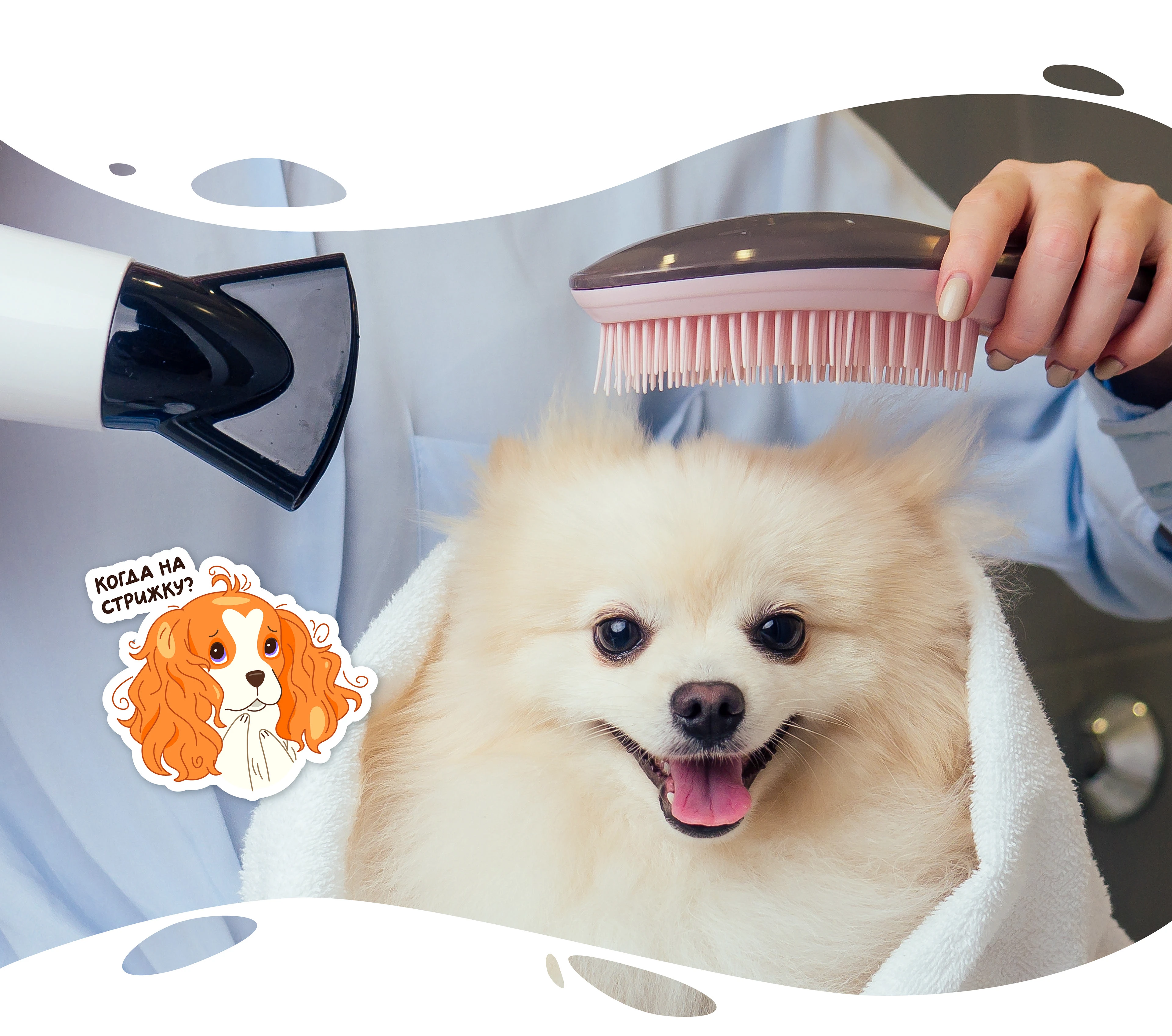 Brand Character for Grooming Salon. Packaging. Stickers — Изображение №11 — Брендинг, Иллюстрация на Dprofile