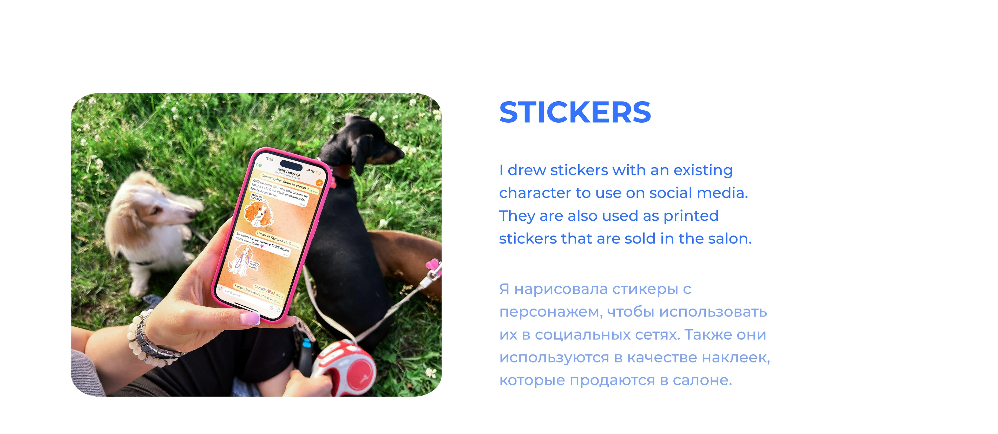 Brand Character for Grooming Salon. Packaging. Stickers — Изображение №9 — Брендинг, Иллюстрация на Dprofile