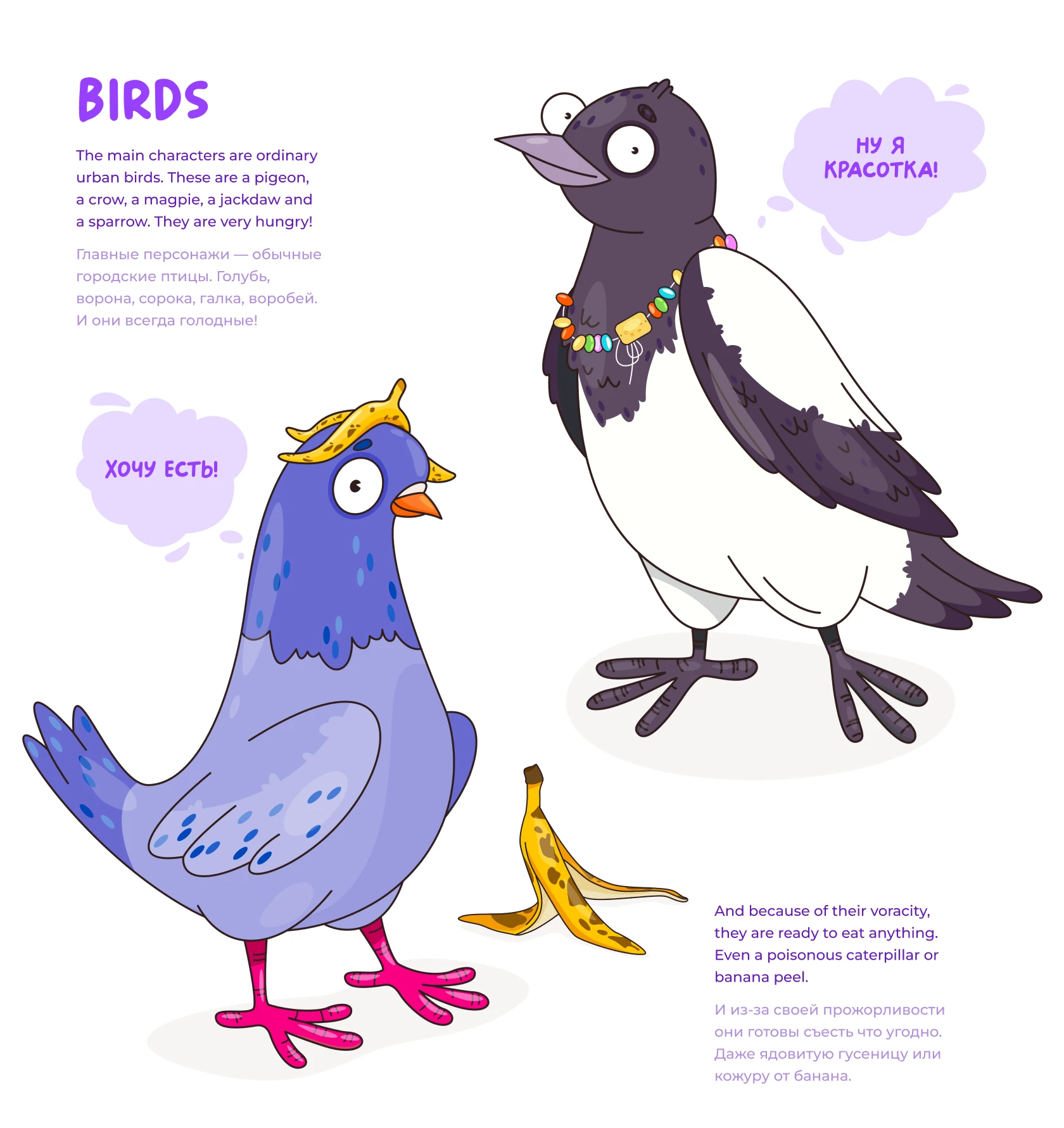 Birds Board Game Design. Illustrations & Packaging — Изображение №3 — Брендинг, Иллюстрация на Dprofile