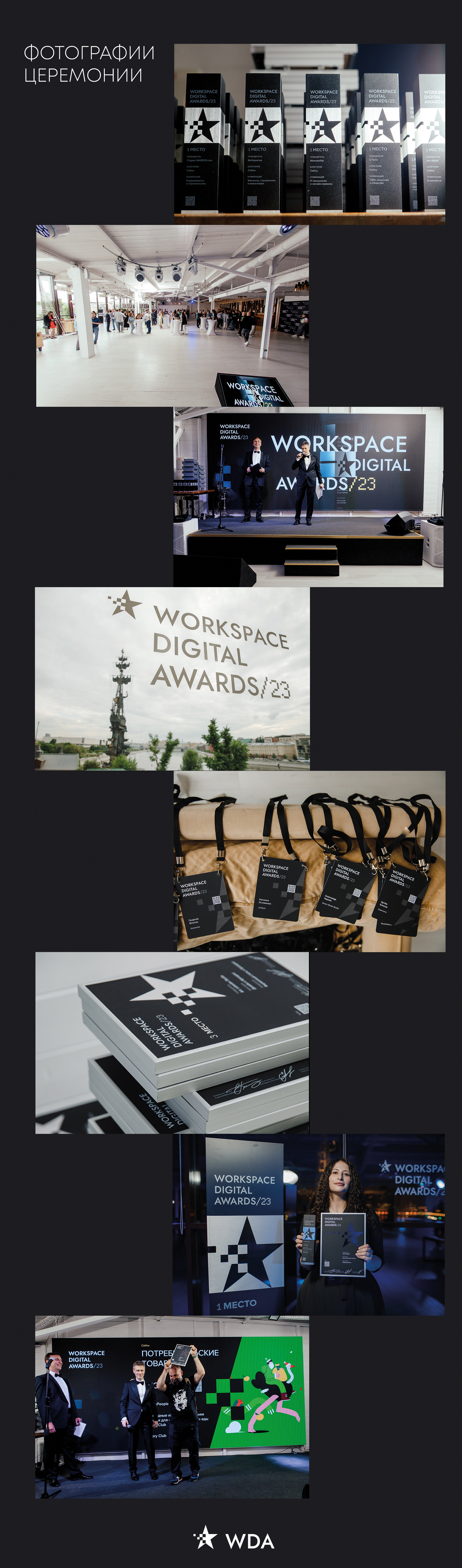 DEVELOPMENT OF BRANDBOOK WORKSPACE DIGITAL AWARDS — Изображение №4 — Брендинг, Иллюстрация на Dprofile