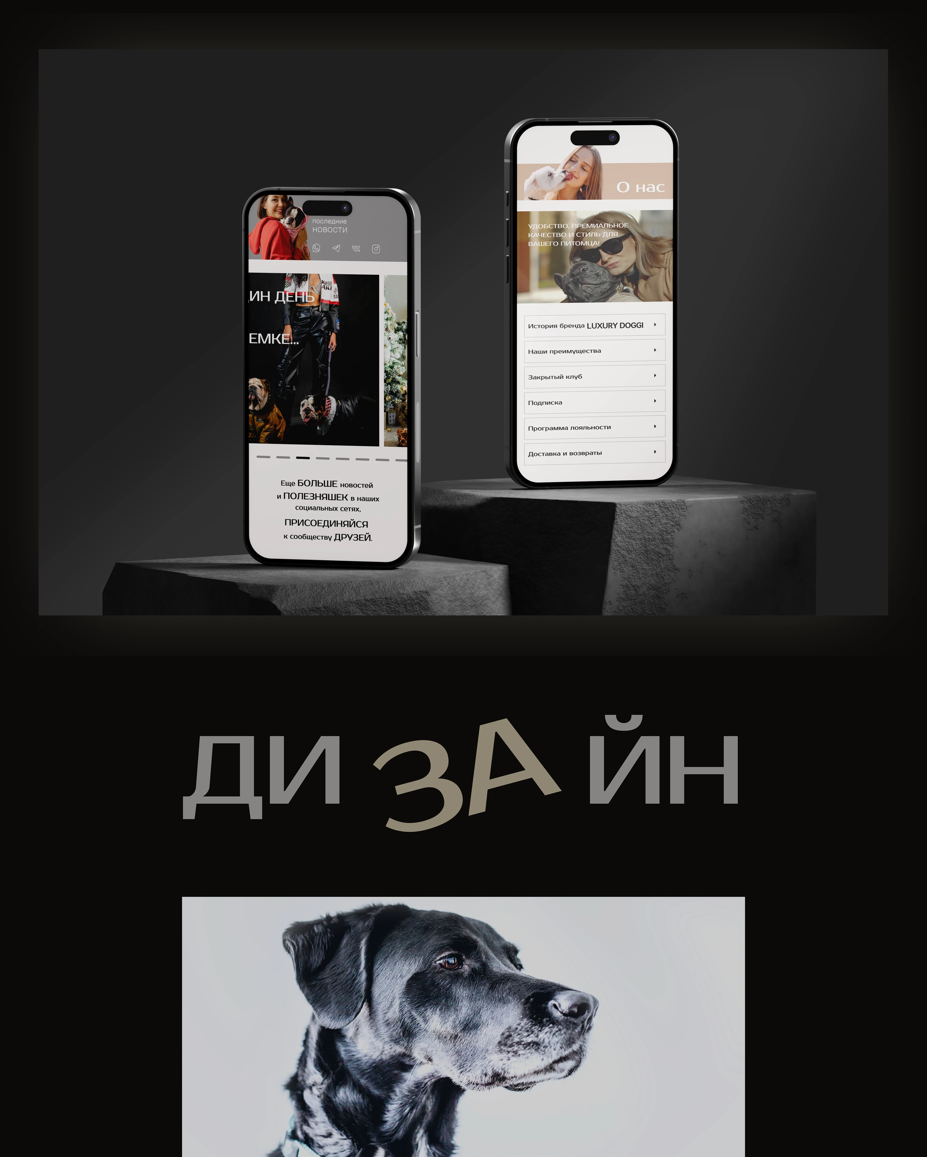 Интернет-магазин одежды для собак — Изображение №10 — Интерфейсы на Dprofile