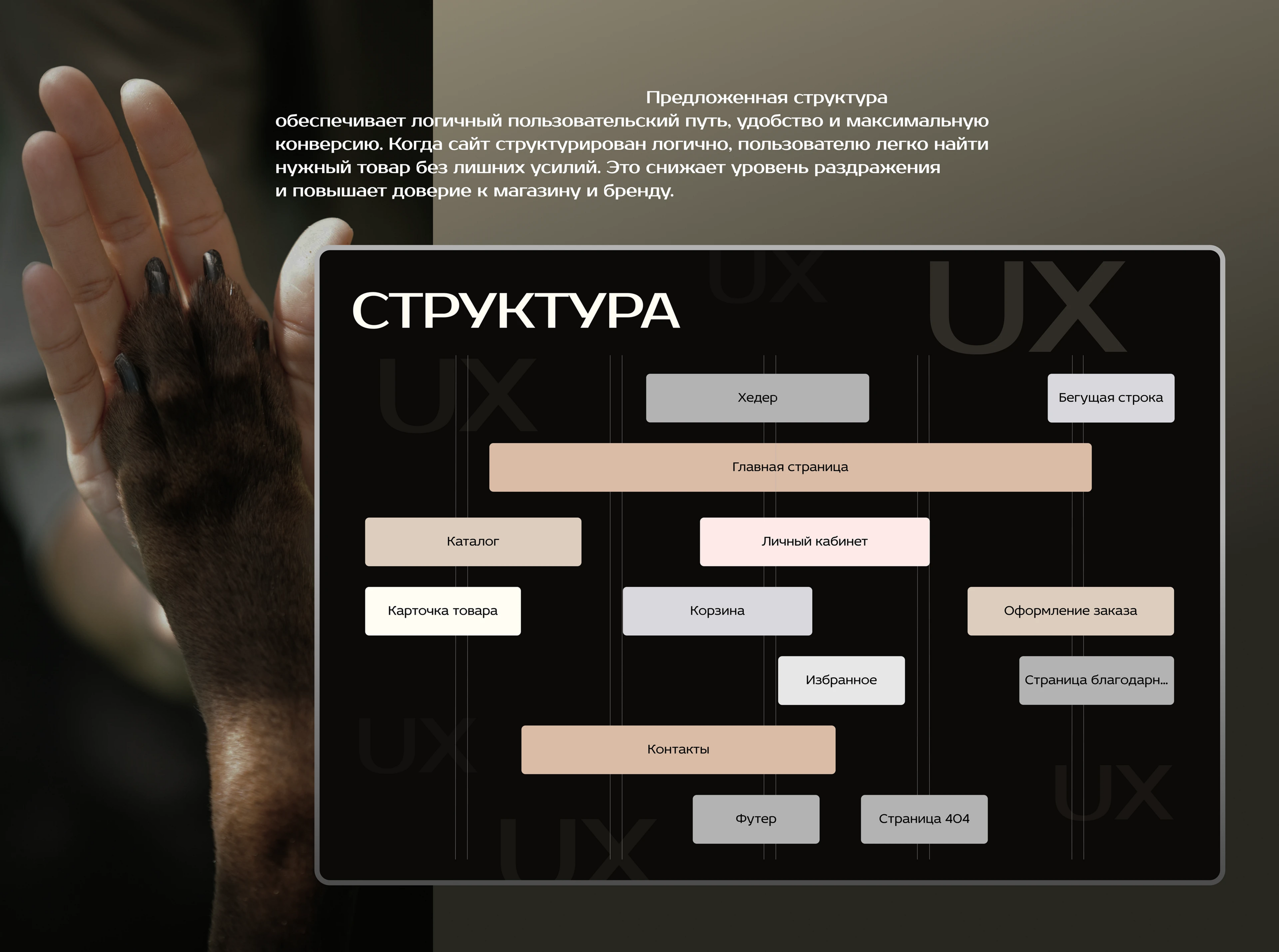 Интернет-магазин одежды для собак — Изображение №7 — Интерфейсы на Dprofile