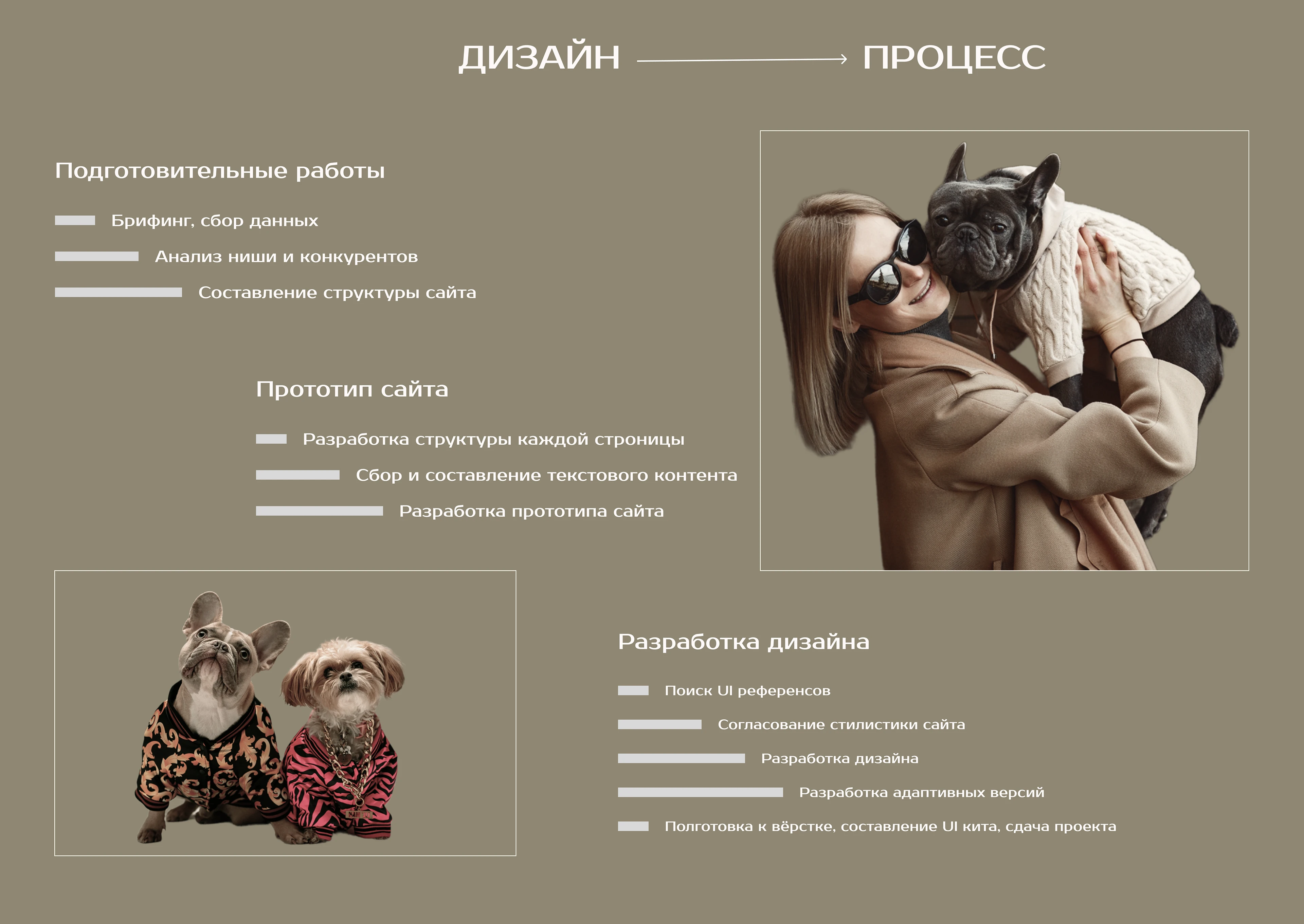 Интернет-магазин одежды для собак — Изображение №4 — Интерфейсы на Dprofile