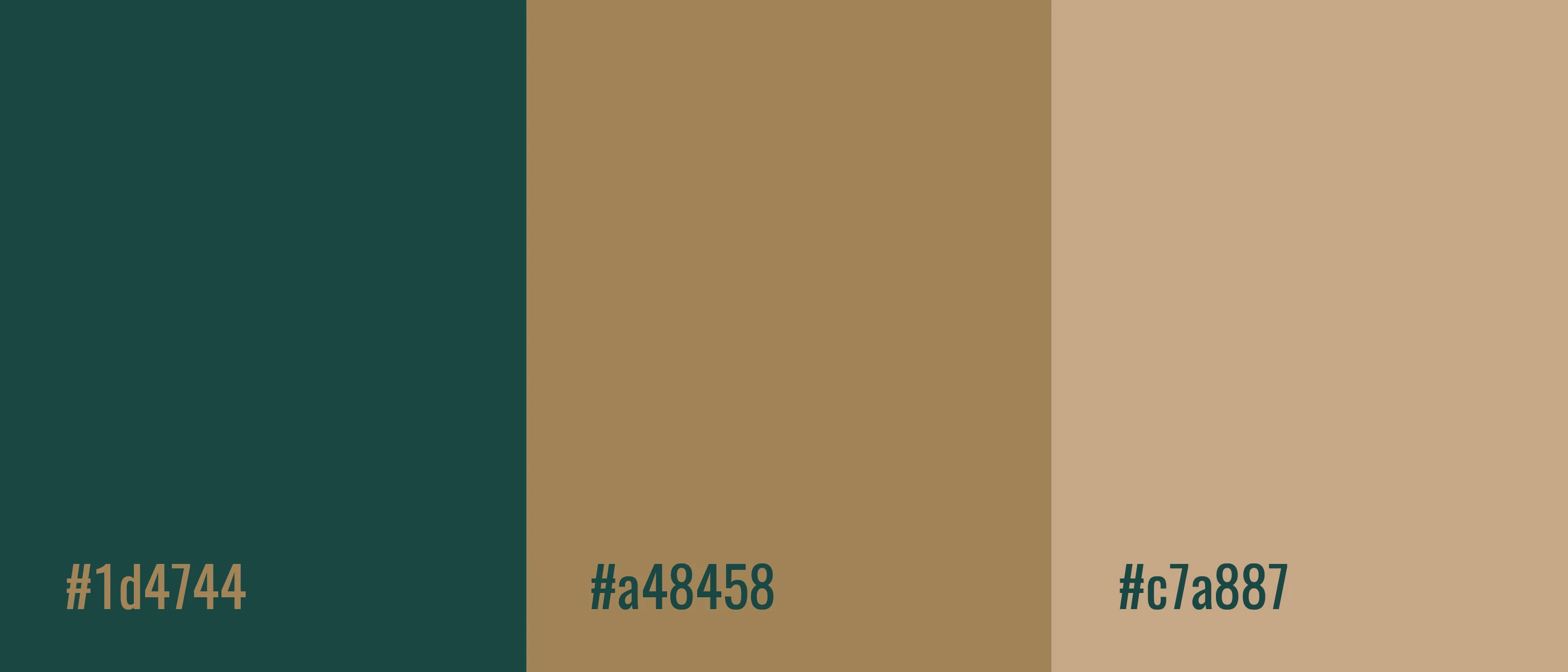 Sun and Moon Cafe — Изображение №4 — Брендинг на Dprofile