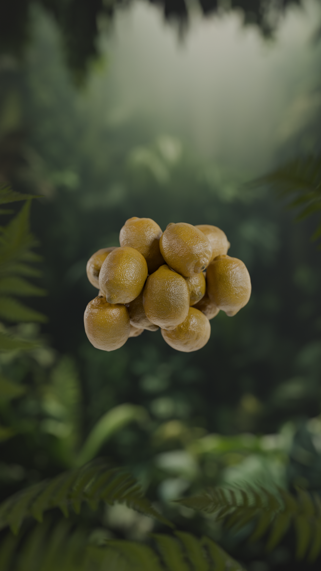 3D Lemons — Изображение №3 — Графика, 3D на Dprofile