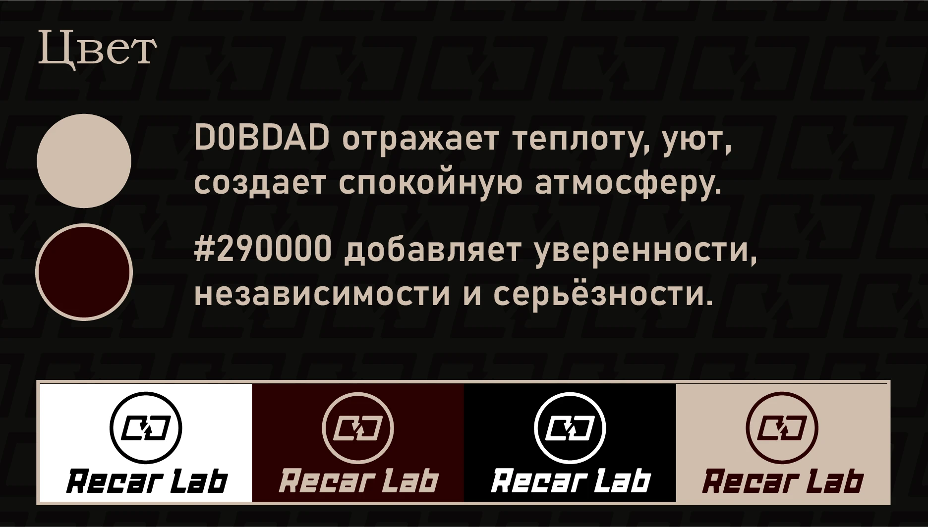 Recar Lab — Изображение №4 — Брендинг на Dprofile