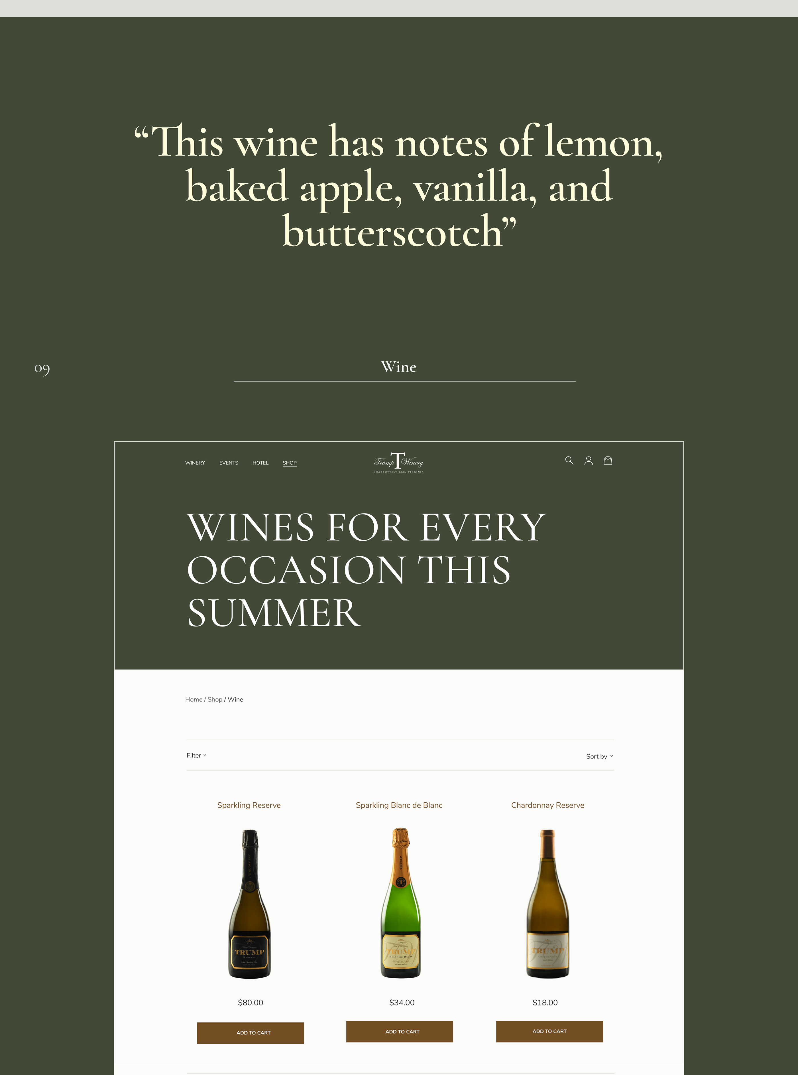 TRUMP WINERY Corporate website redesign — Изображение №24 — Интерфейсы, Анимация на Dprofile