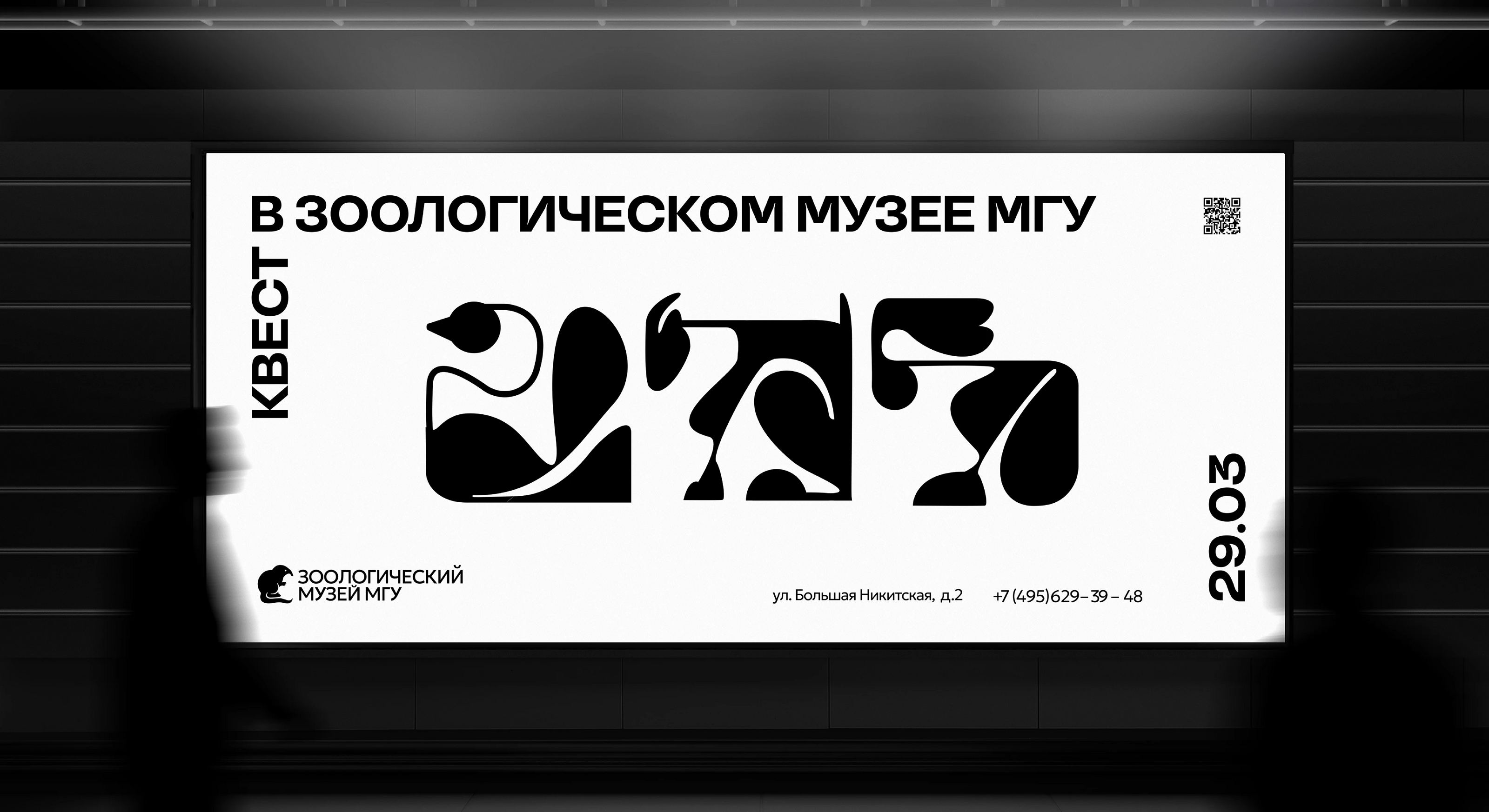Квест в Зоологическом музее МГУ — Изображение №5 — Брендинг на Dprofile