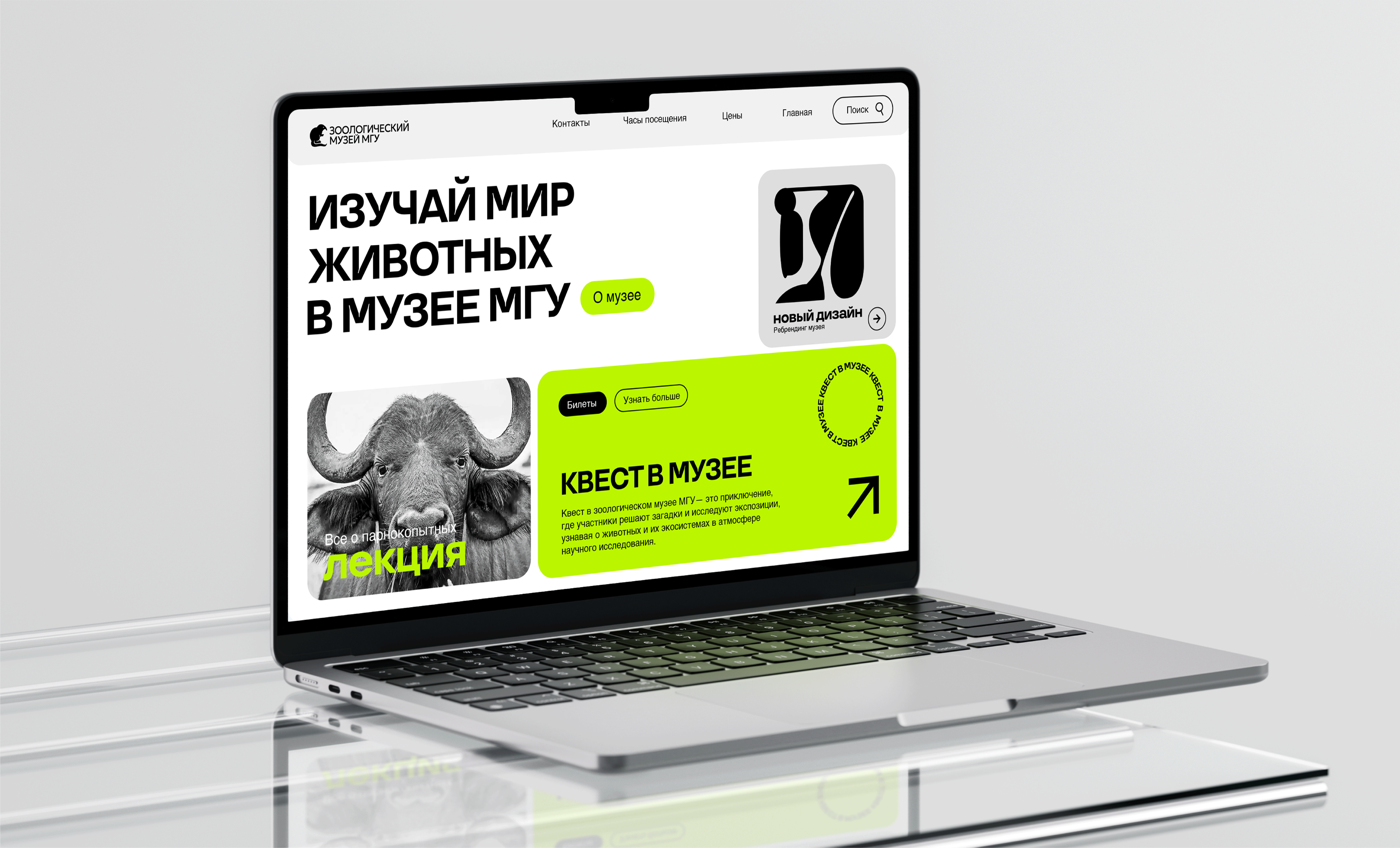 Квест в Зоологическом музее МГУ — Изображение №4 — Брендинг на Dprofile