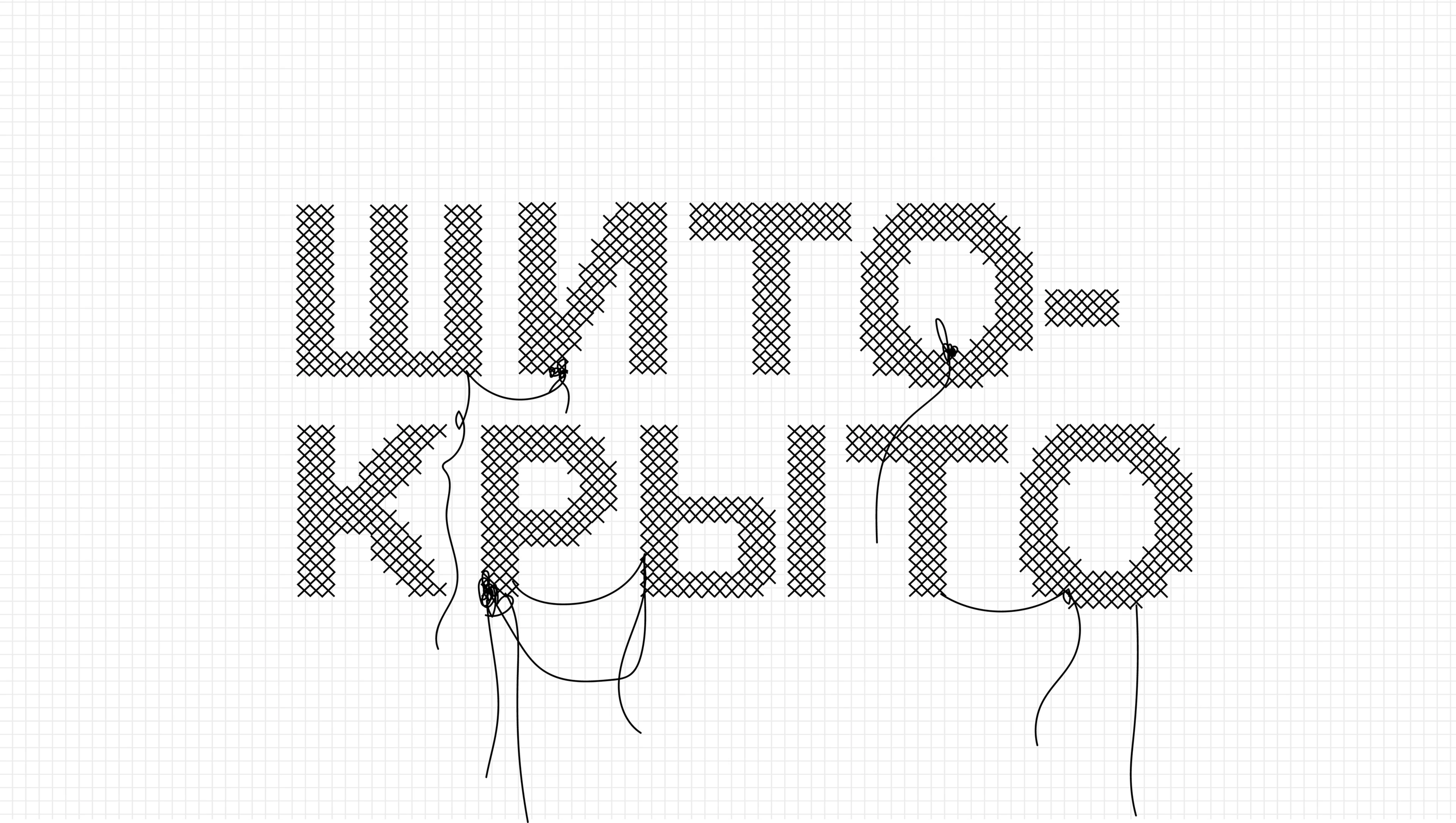 Магазин «Шито-крыто» — Изображение №3 — Брендинг на Dprofile