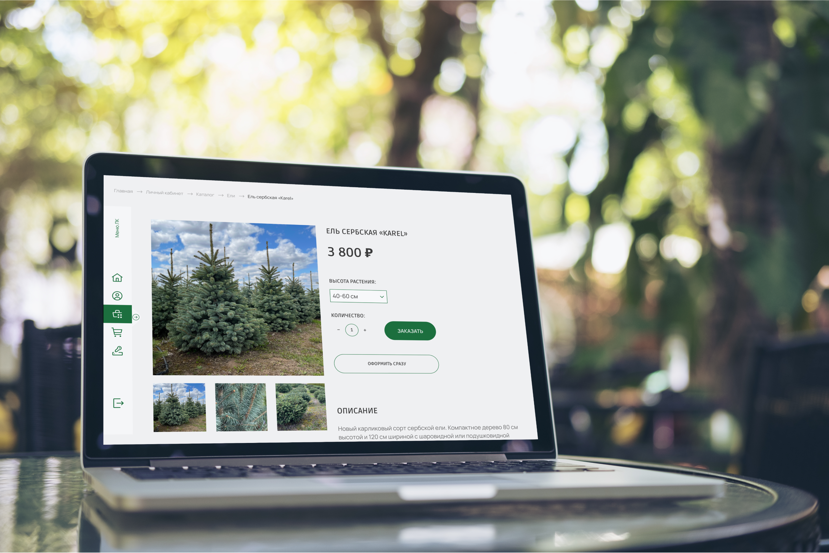 Интернет-магазин питомника растений САЙТ ПОД КЛЮЧ — Изображение №12 — Интерфейсы на Dprofile