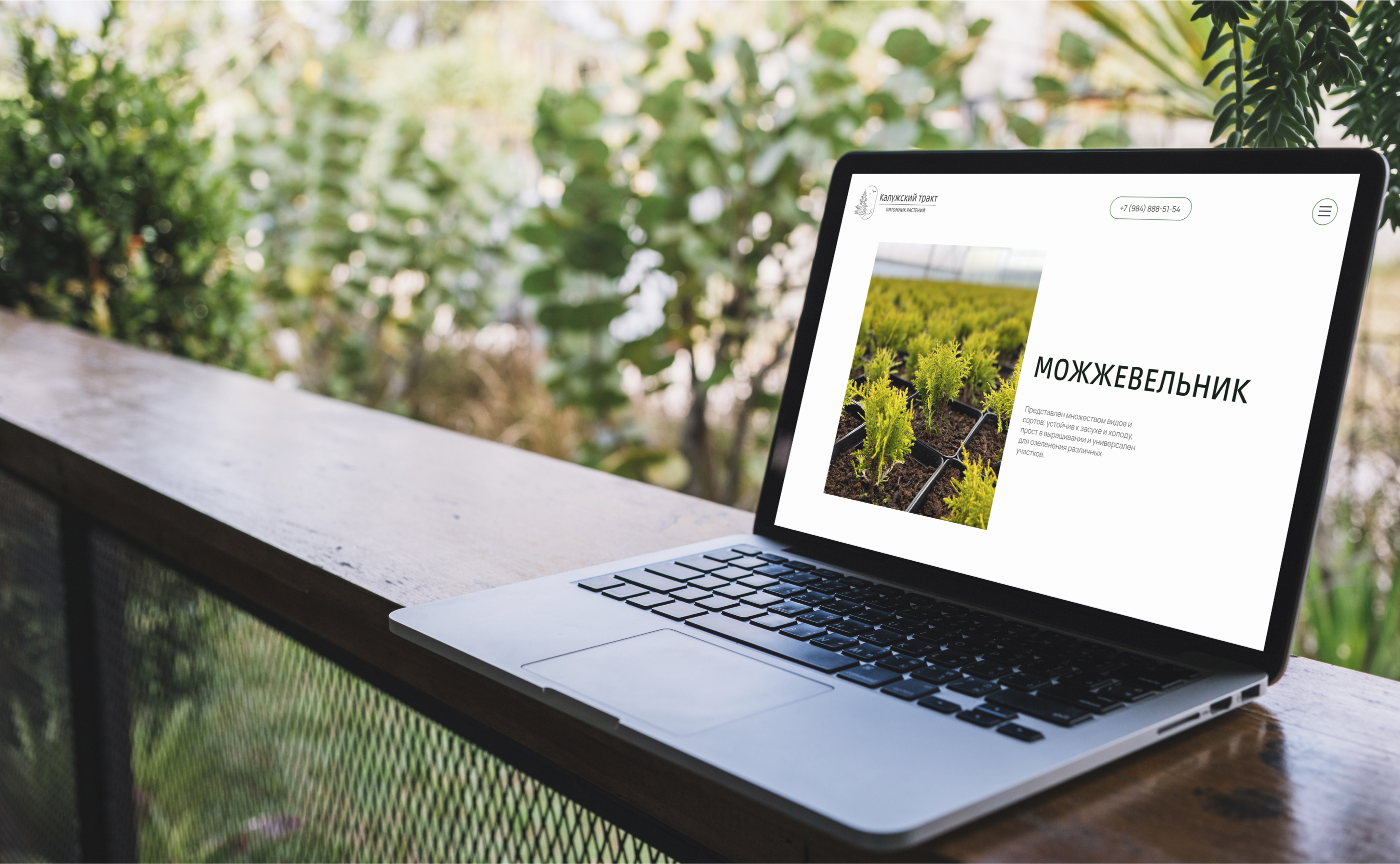 Интернет-магазин питомника растений САЙТ ПОД КЛЮЧ — Изображение №21 — Интерфейсы на Dprofile