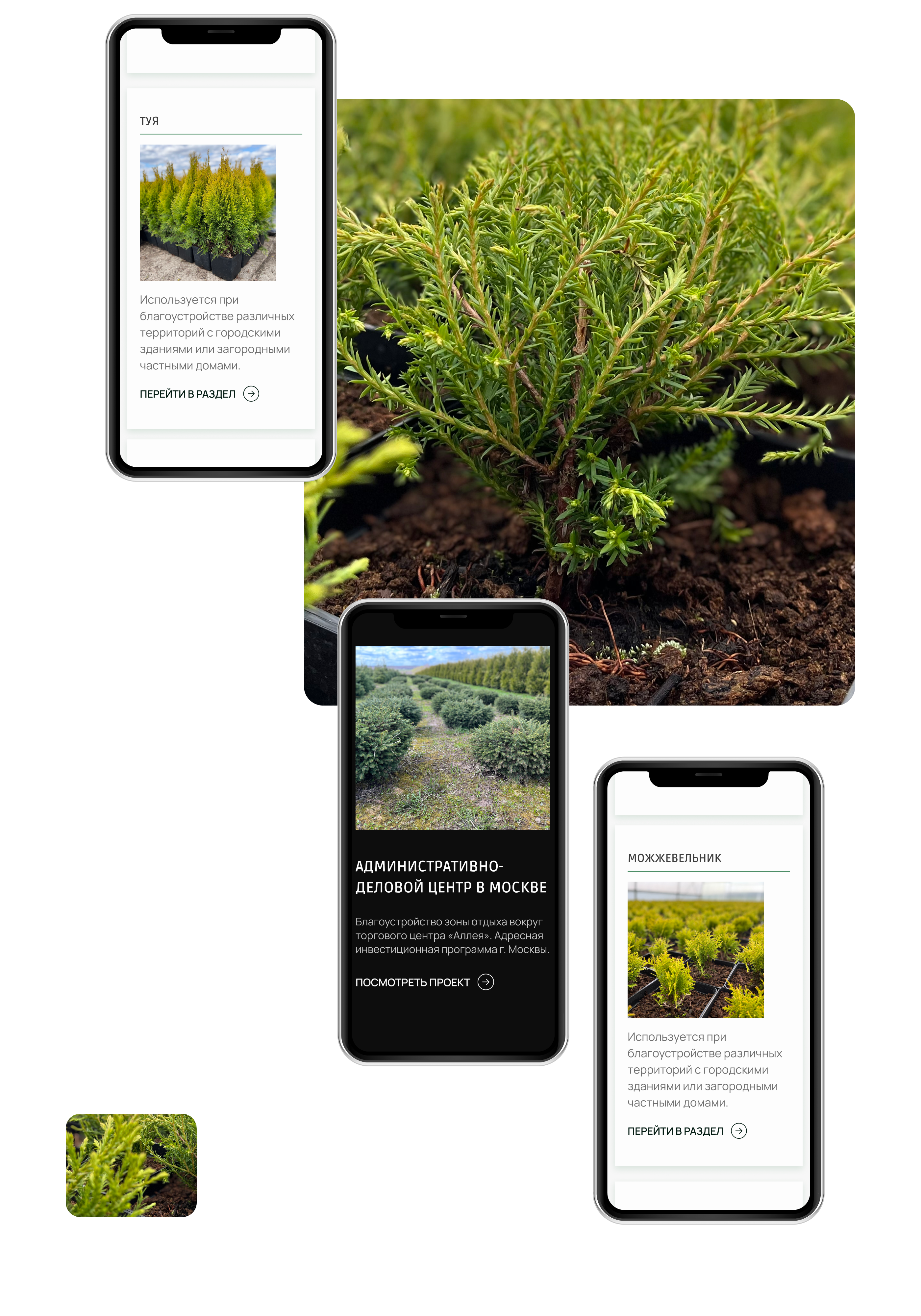 Интернет-магазин питомника растений САЙТ ПОД КЛЮЧ — Изображение №25 — Интерфейсы на Dprofile