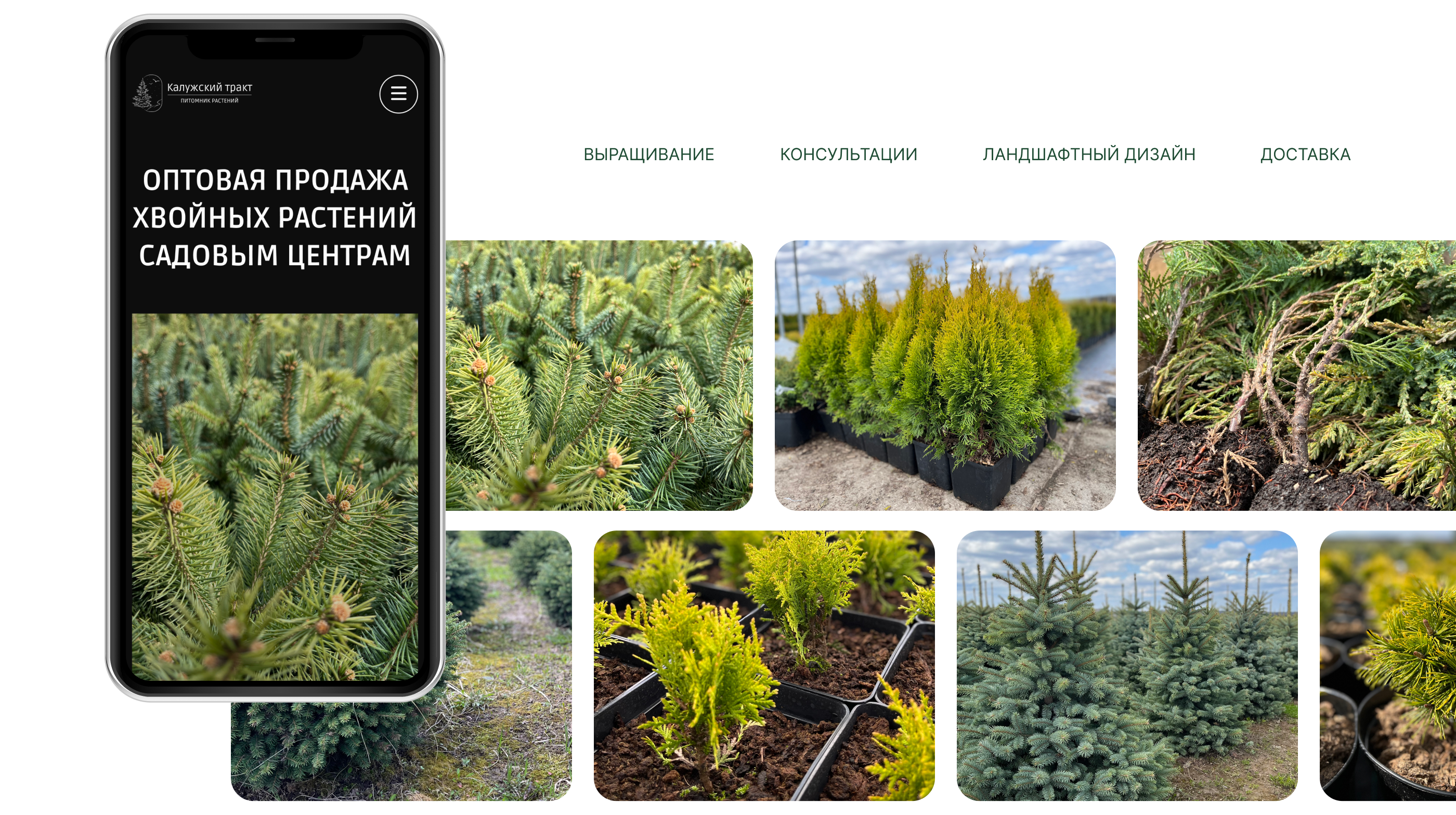 Интернет-магазин питомника растений САЙТ ПОД КЛЮЧ — Изображение №2 — Интерфейсы на Dprofile