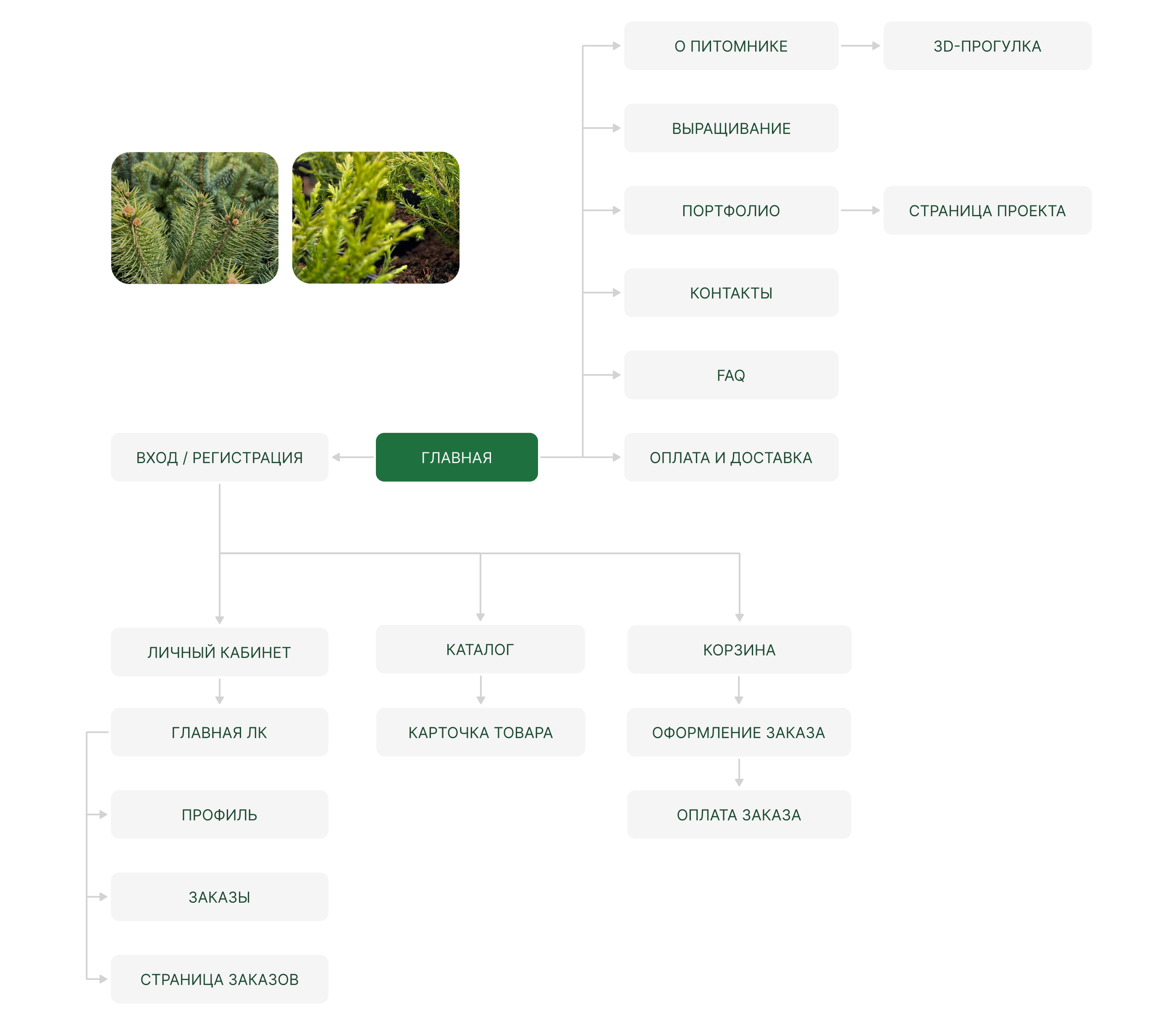 Интернет-магазин питомника растений САЙТ ПОД КЛЮЧ — Изображение №7 — Интерфейсы на Dprofile
