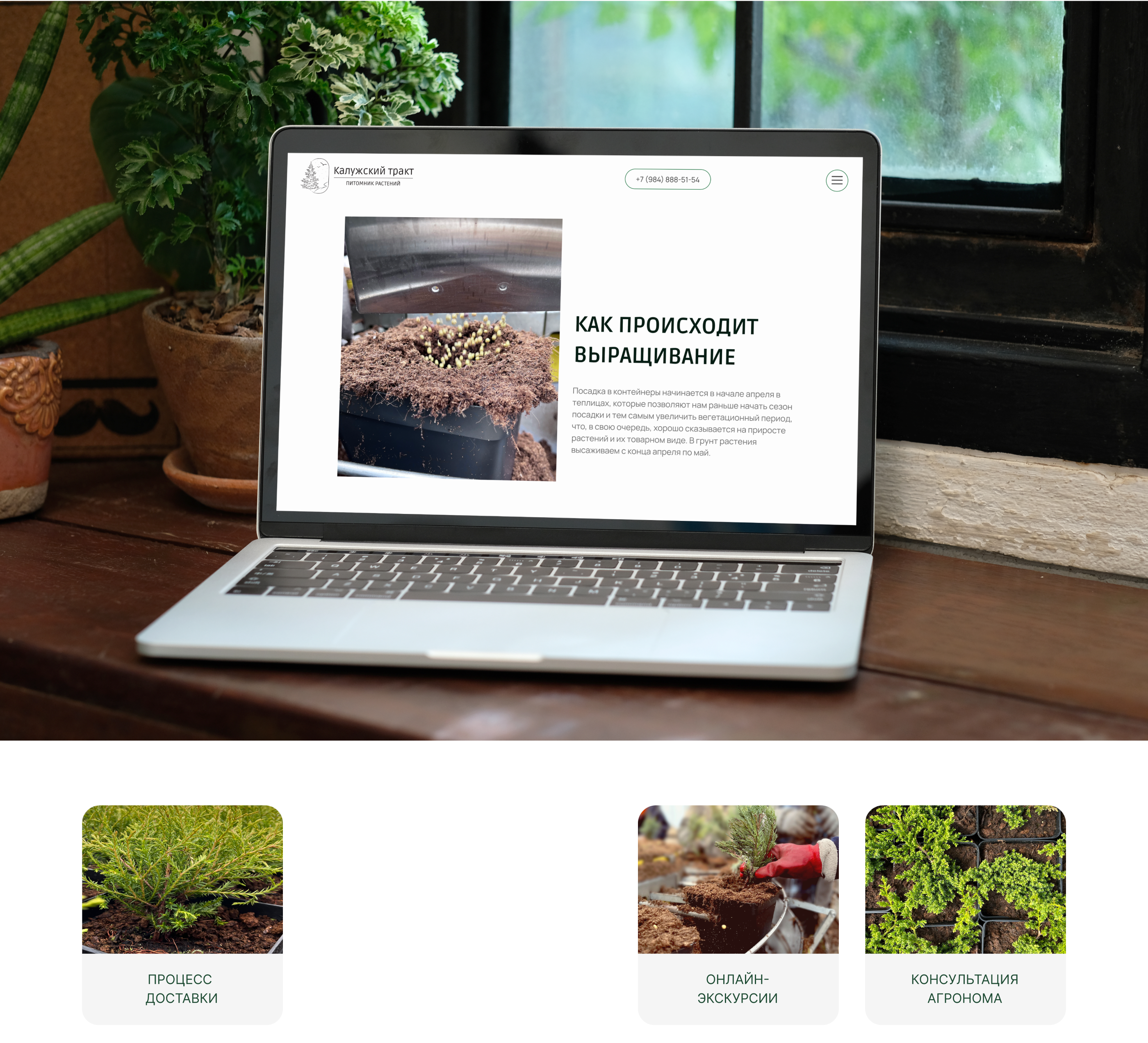 Интернет-магазин питомника растений САЙТ ПОД КЛЮЧ — Изображение №5 — Интерфейсы на Dprofile