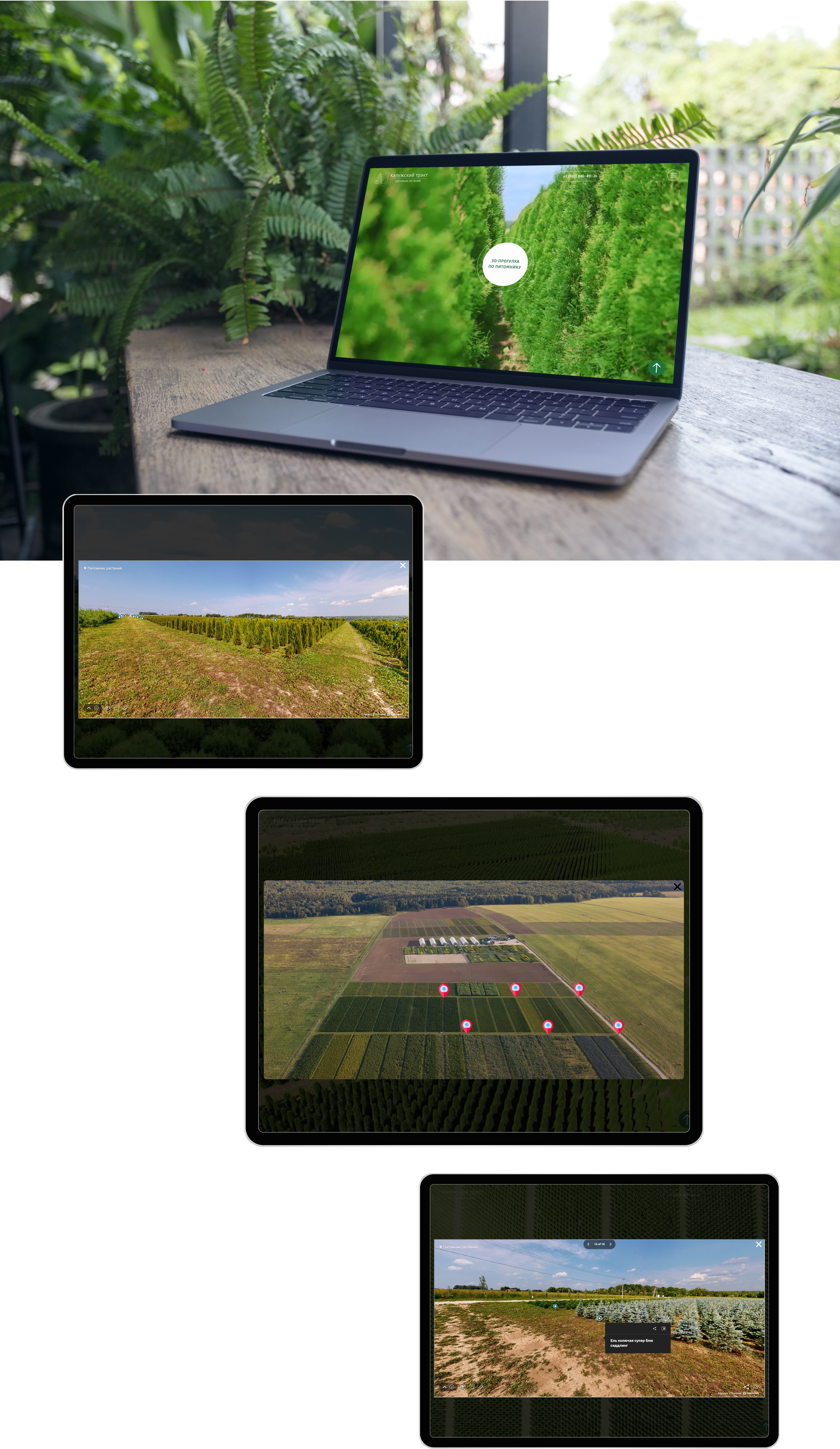 Интернет-магазин питомника растений САЙТ ПОД КЛЮЧ — Изображение №6 — Интерфейсы на Dprofile